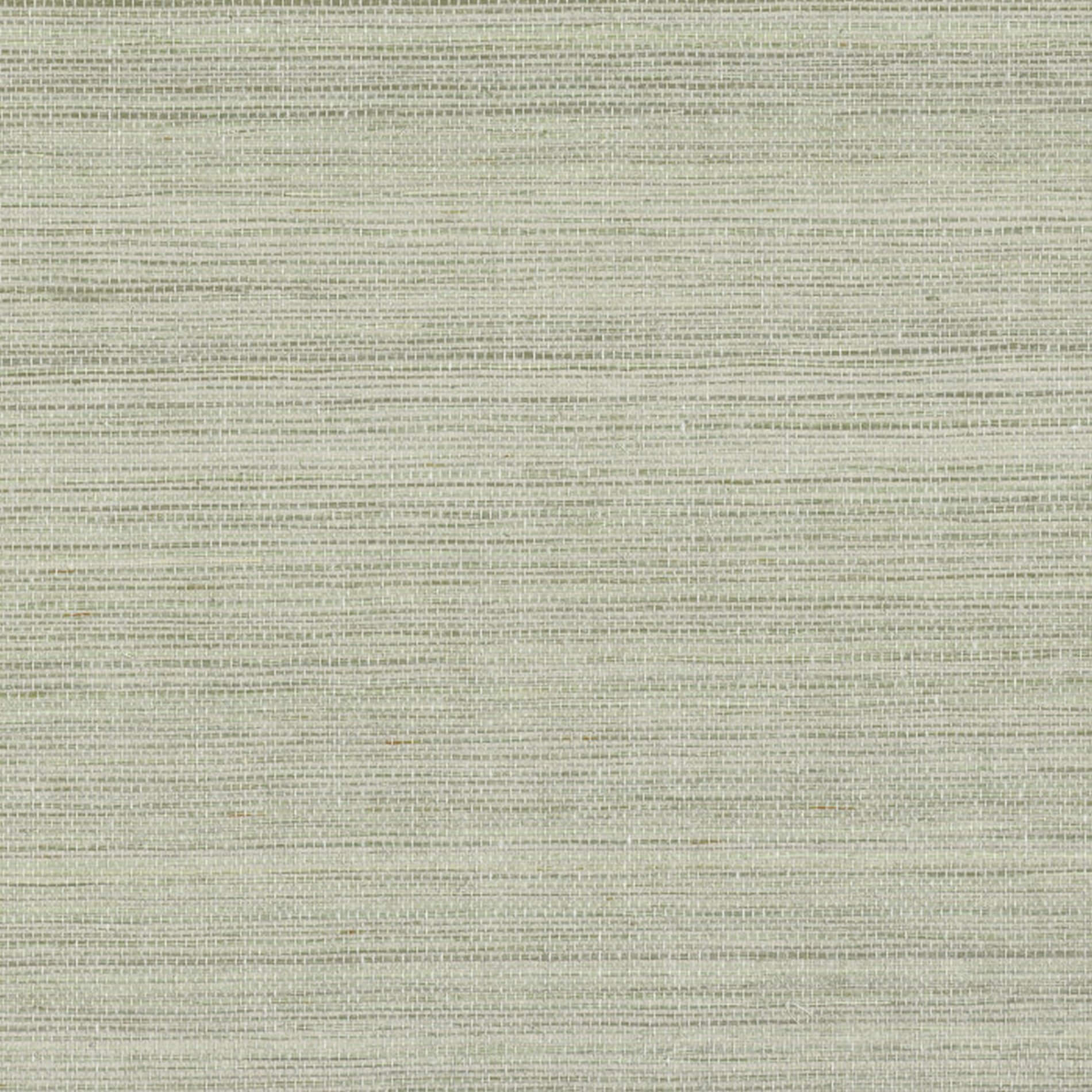 Structural plant fiber wallpaper PICTA - PIERRE BLEUE sage