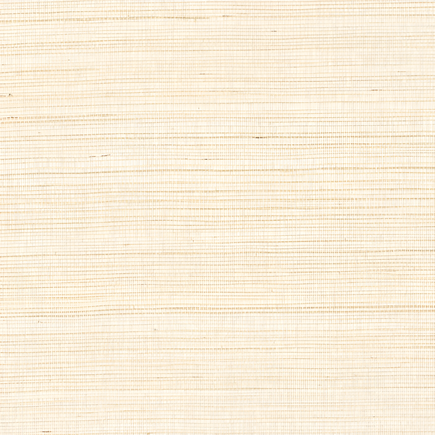 Structural Plant Fiber Wallpaper PICTA - BLANC White