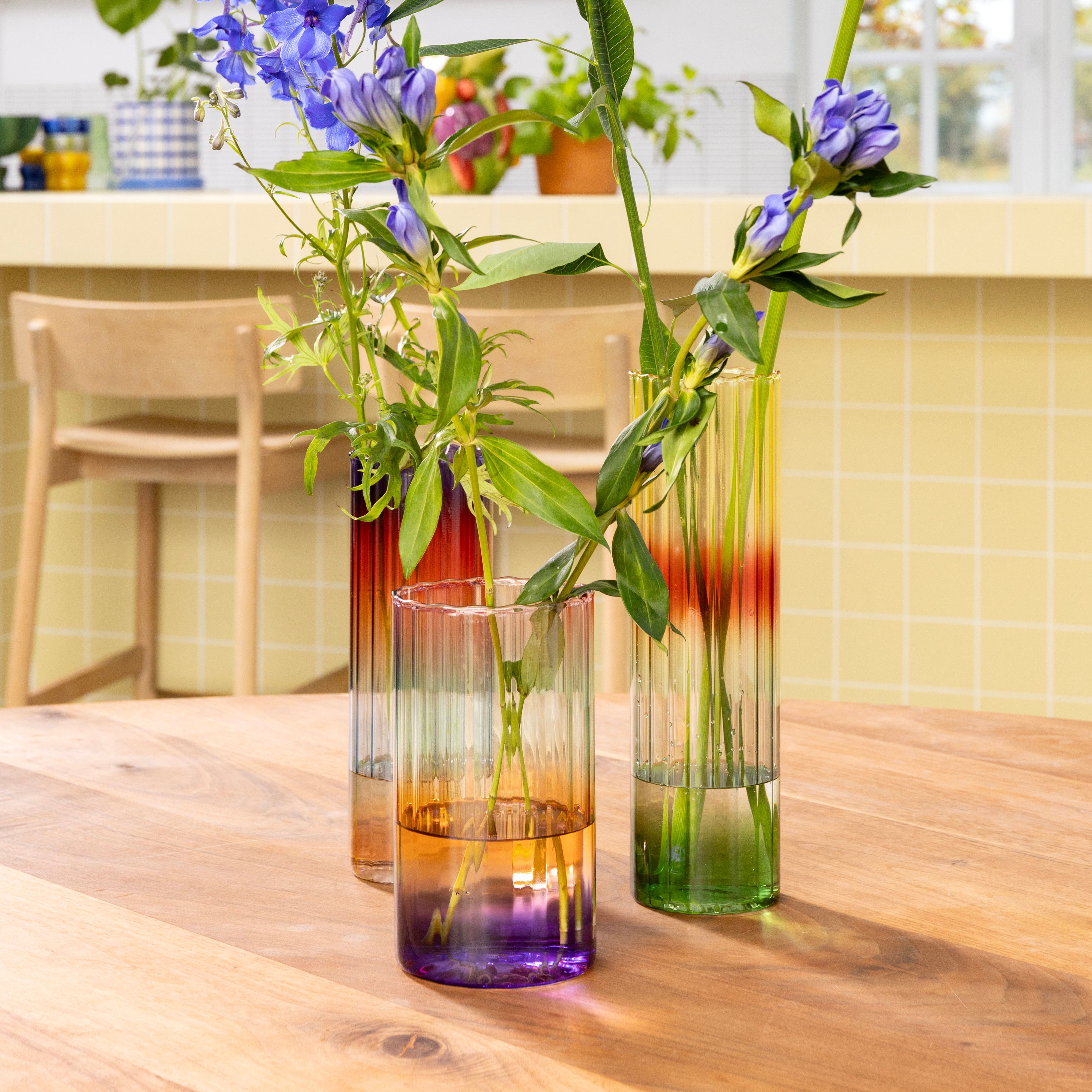 GRADIENT EVENING vase yellow with green and red