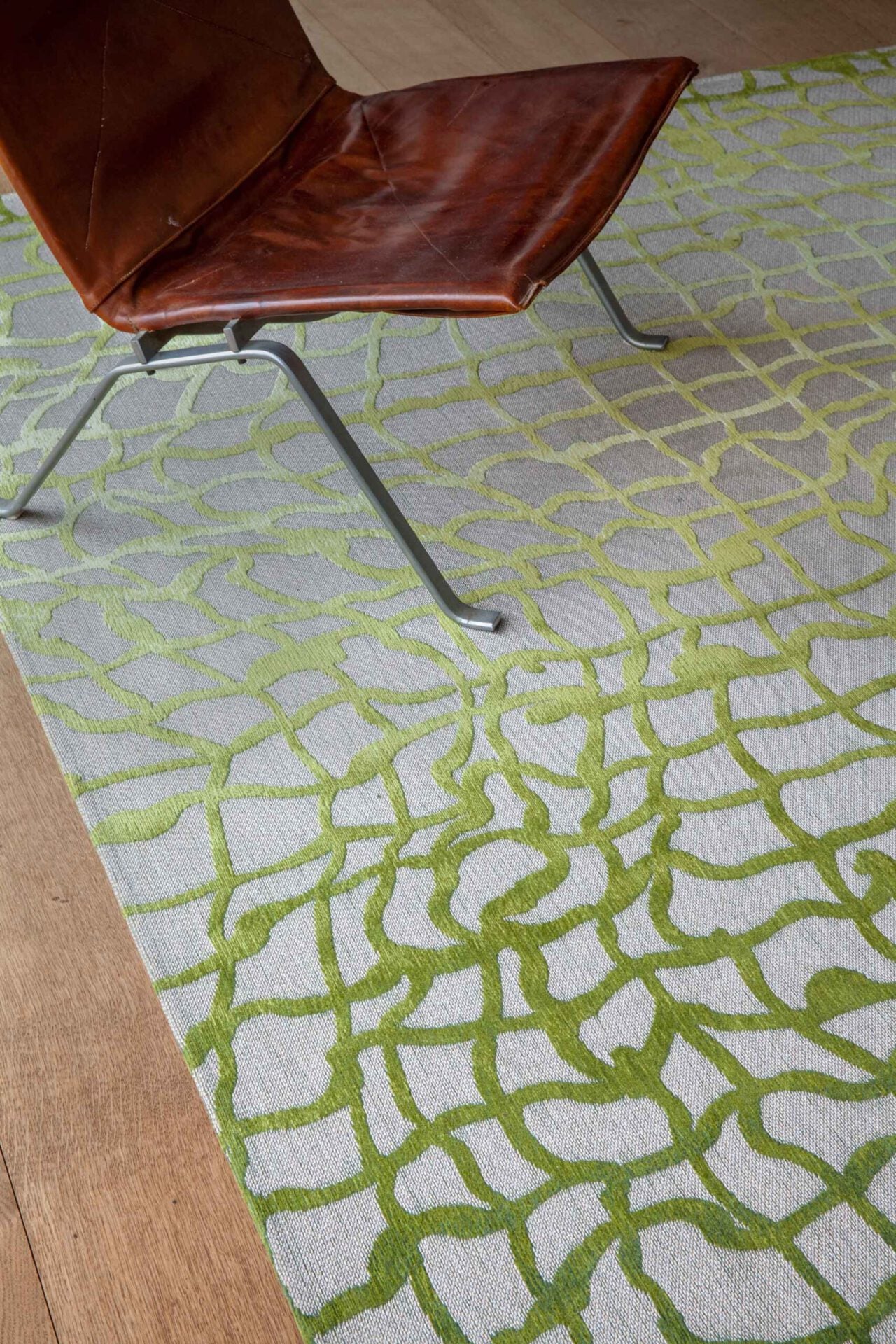 Dywan DEDALO REPUBLIC GREEN oliwkowy