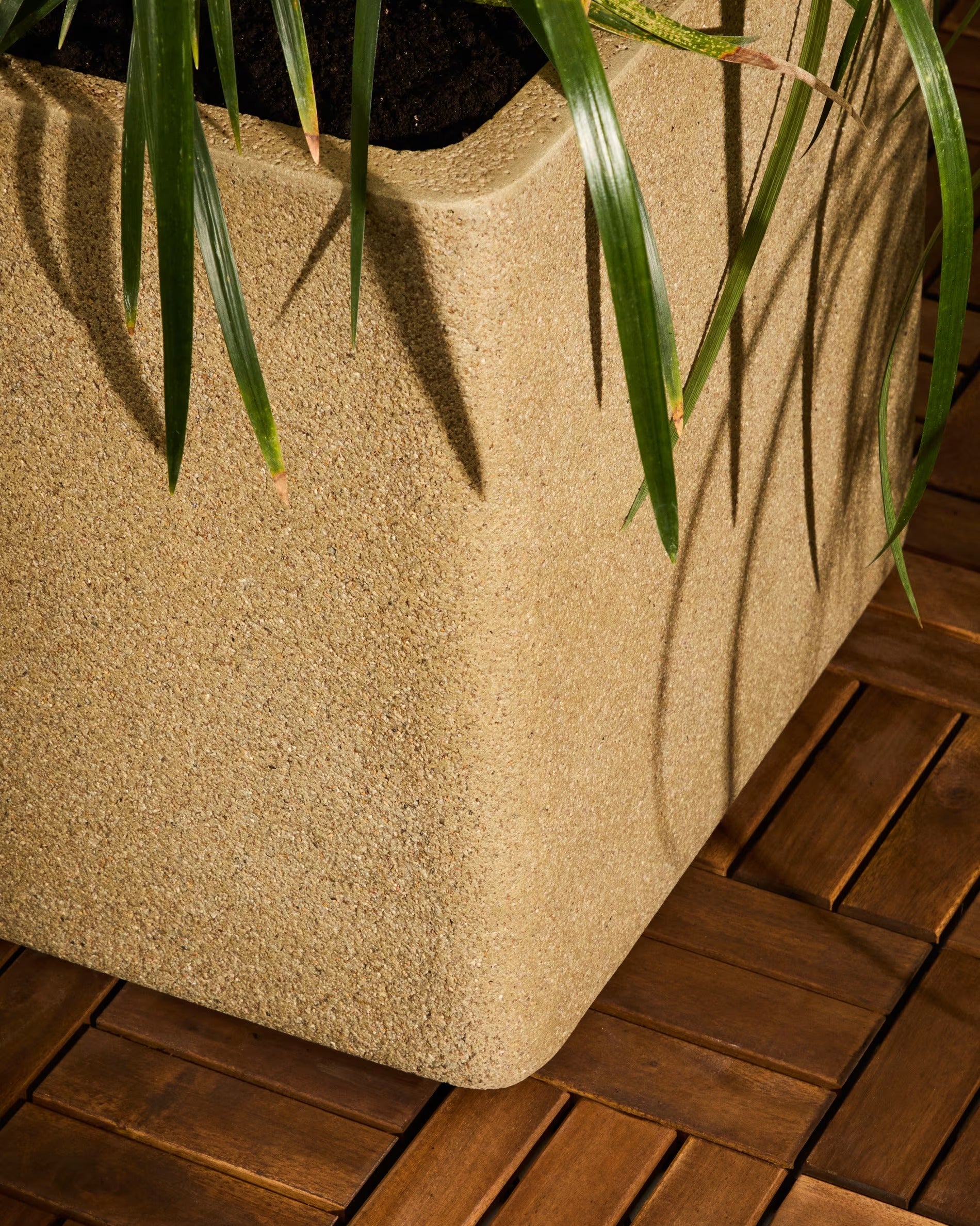 MINOA Senffarbenes Policement-Blumentopf-Set