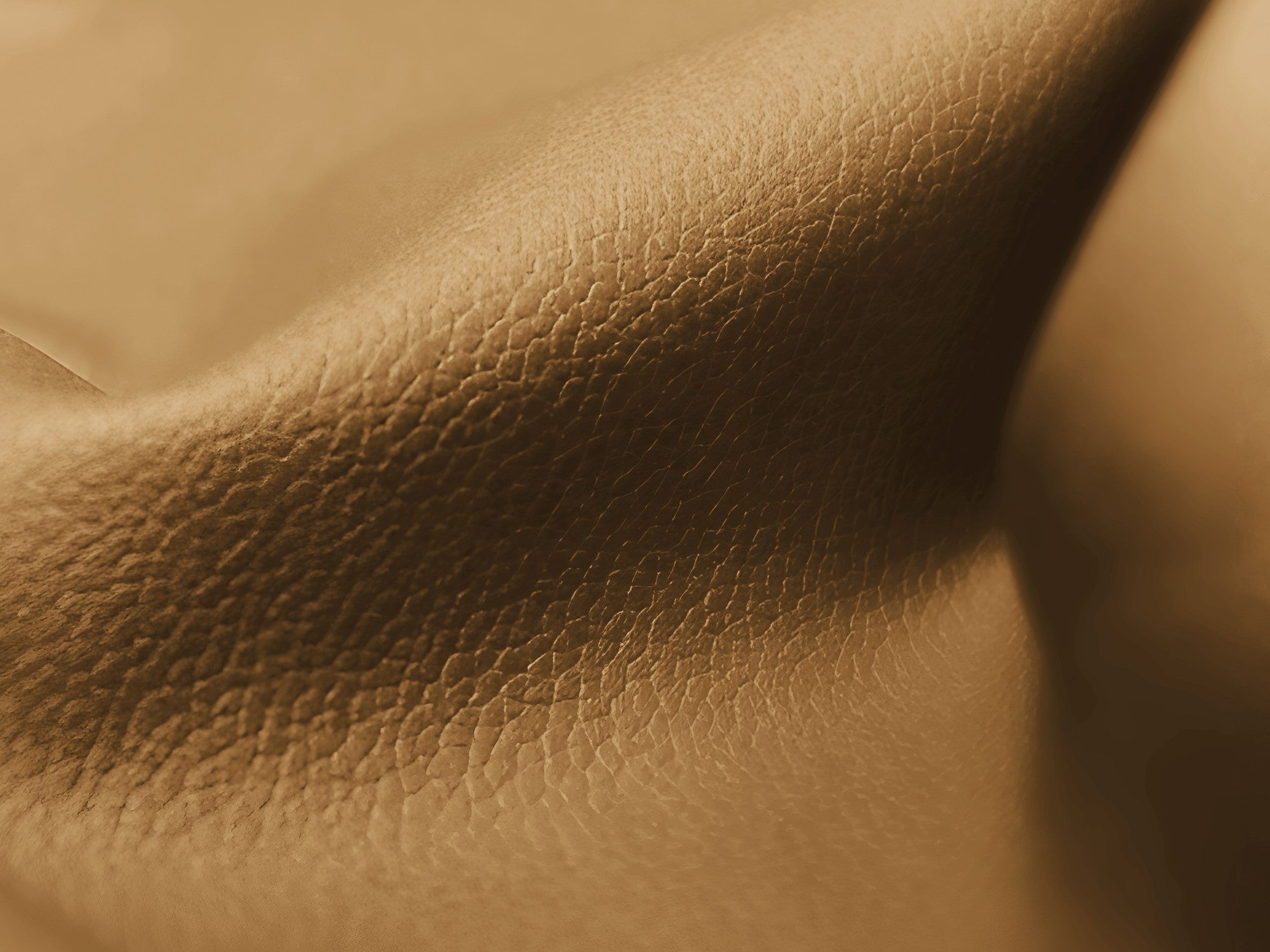 Sofa modułowa 2-osobowa ALOHA karmelowa skóra ekologiczna