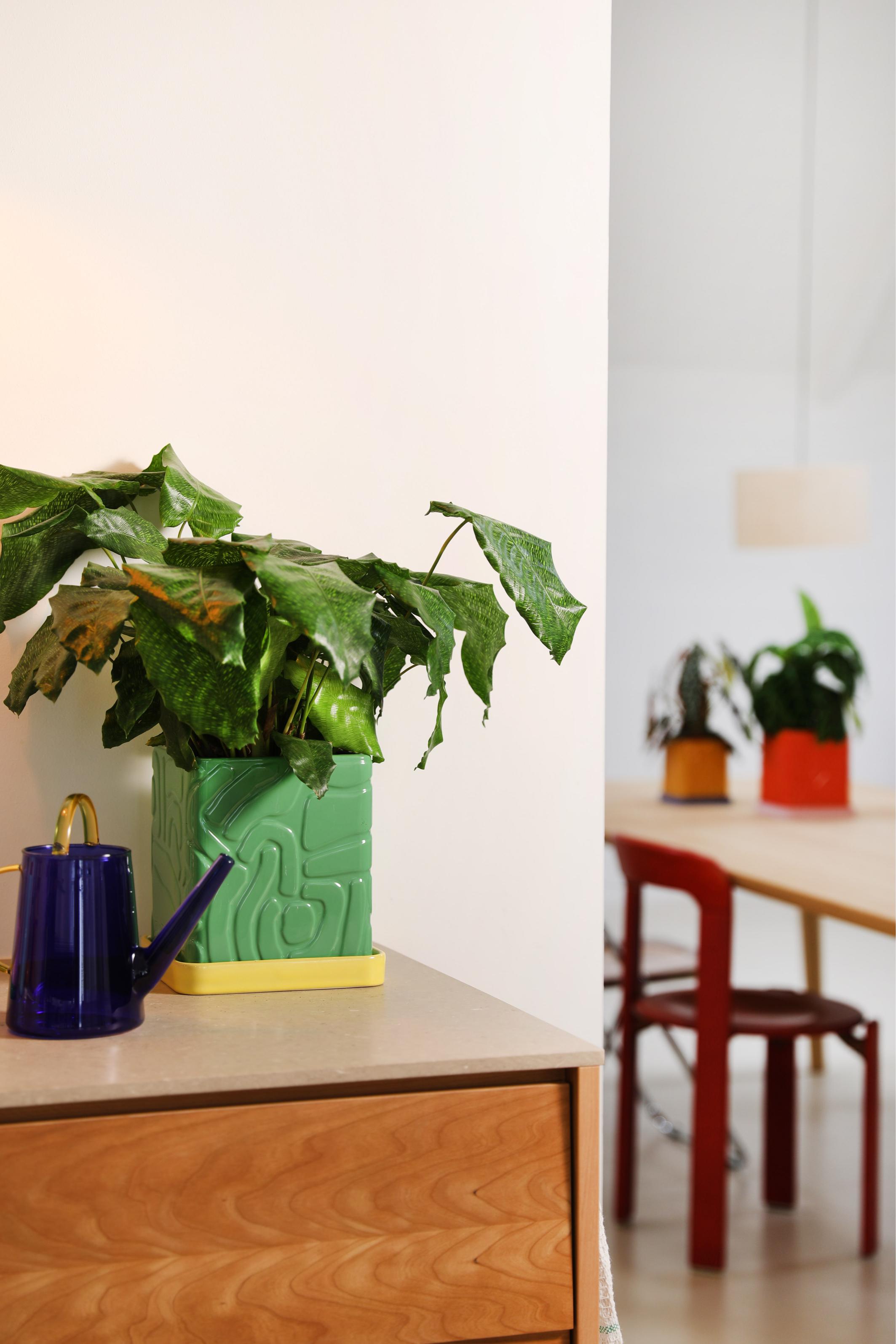 Doniczka TRIBE zielony z żółtą podstawką