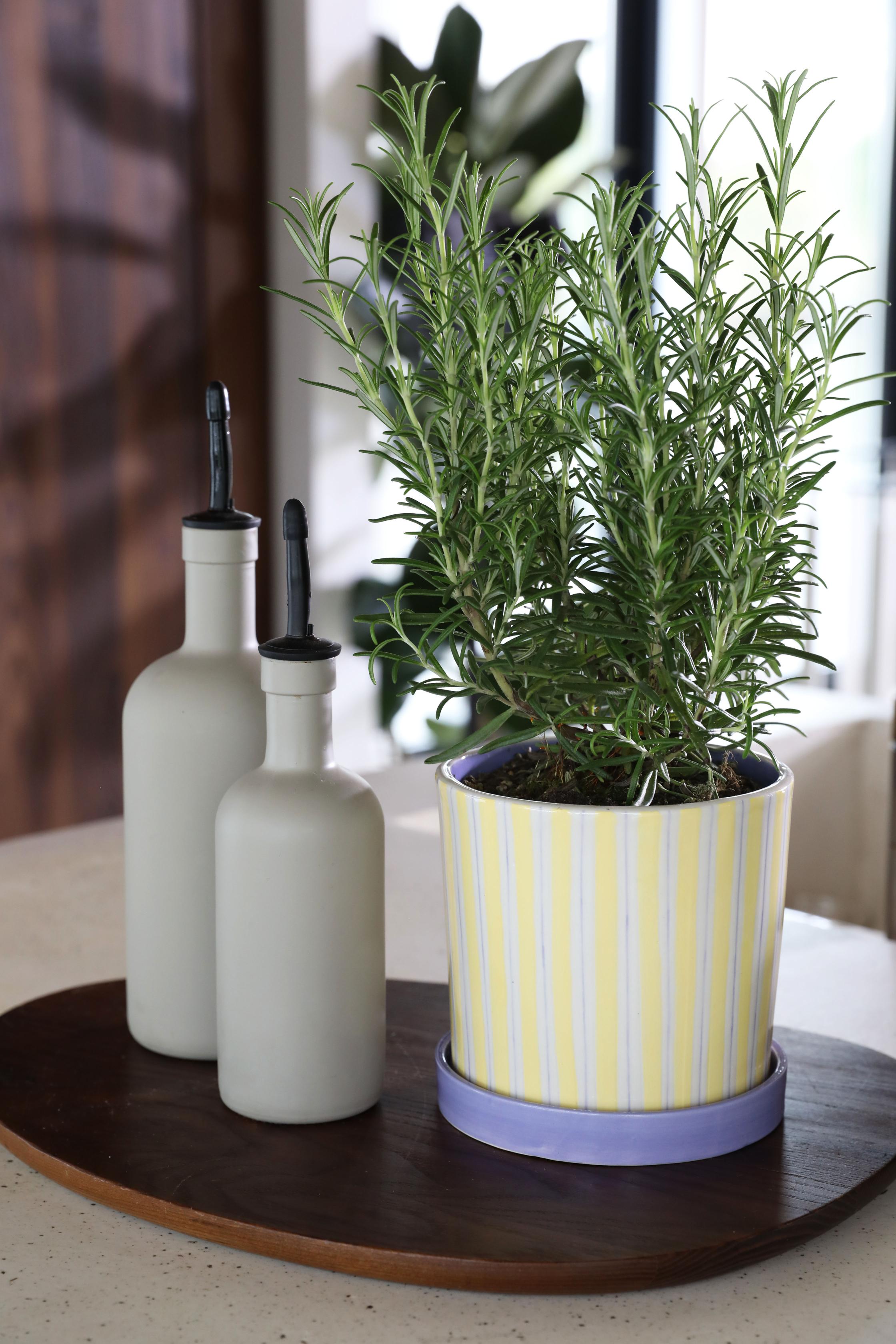 Blumentopf RAY gelb mit lila