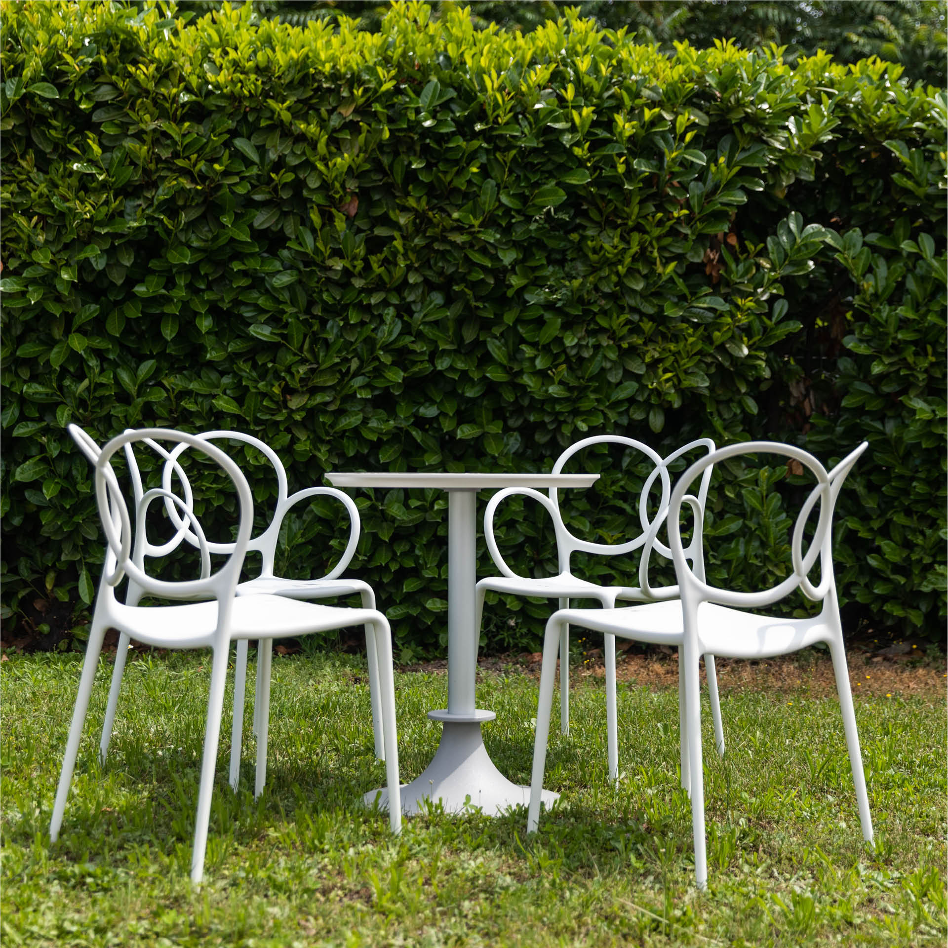 Chair with SISSI Dark gray armrests