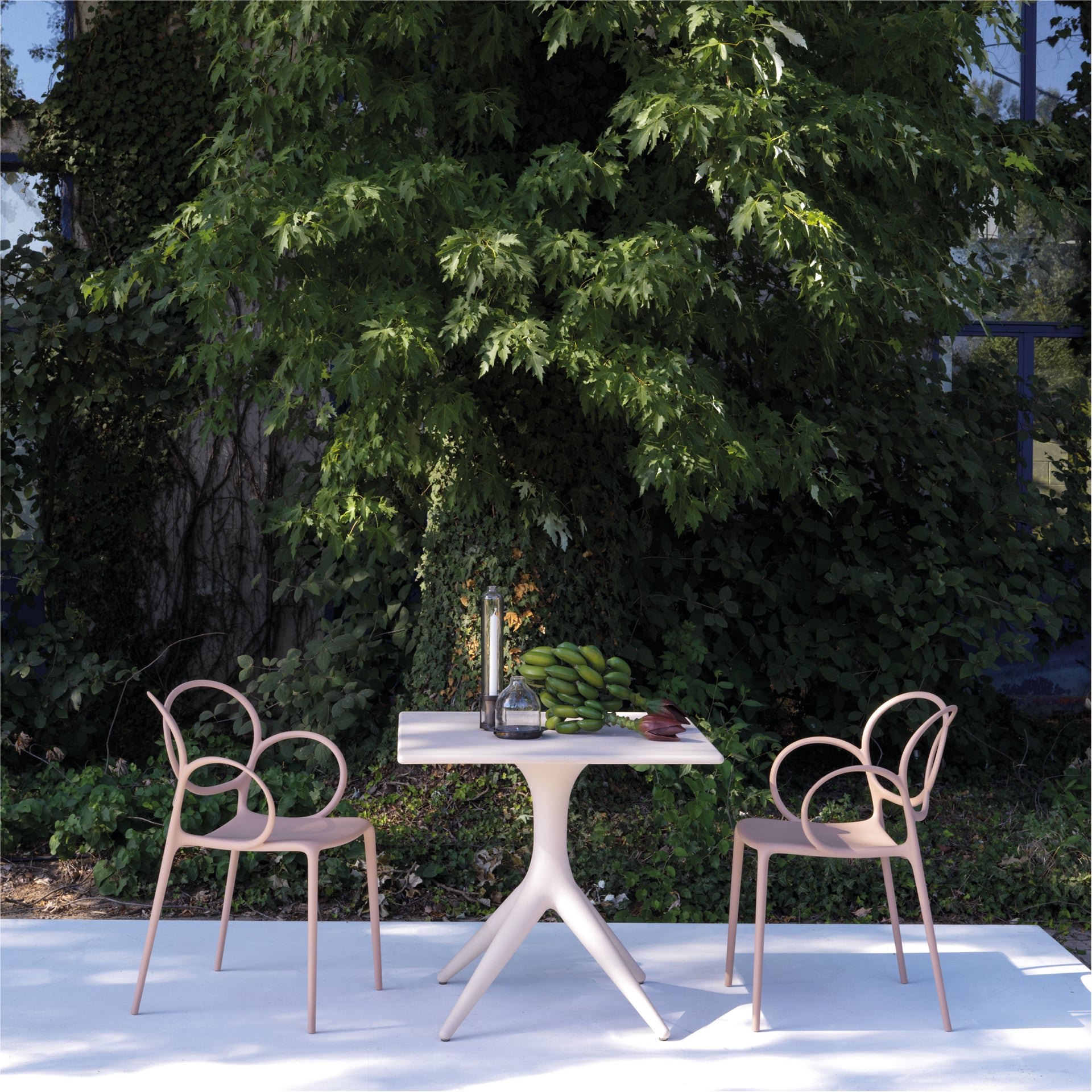 Chair with SISSI Dark gray armrests
