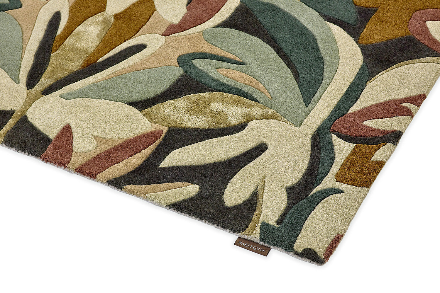 Melora Postano Succulent Green-Brown Succunto