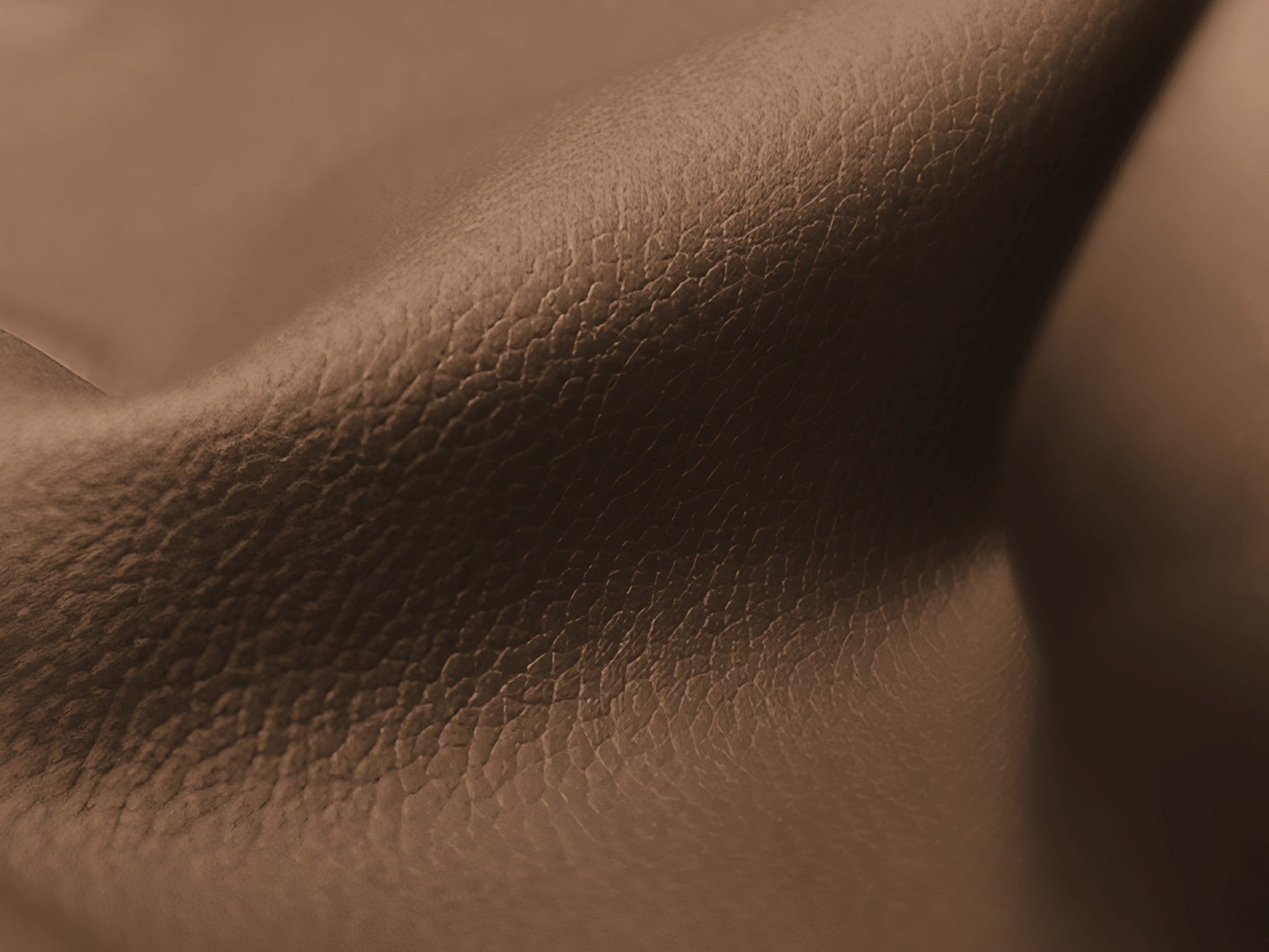 Pouf / module LOKUA chocolate eco-leather