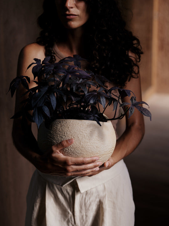 PLANTAS planter