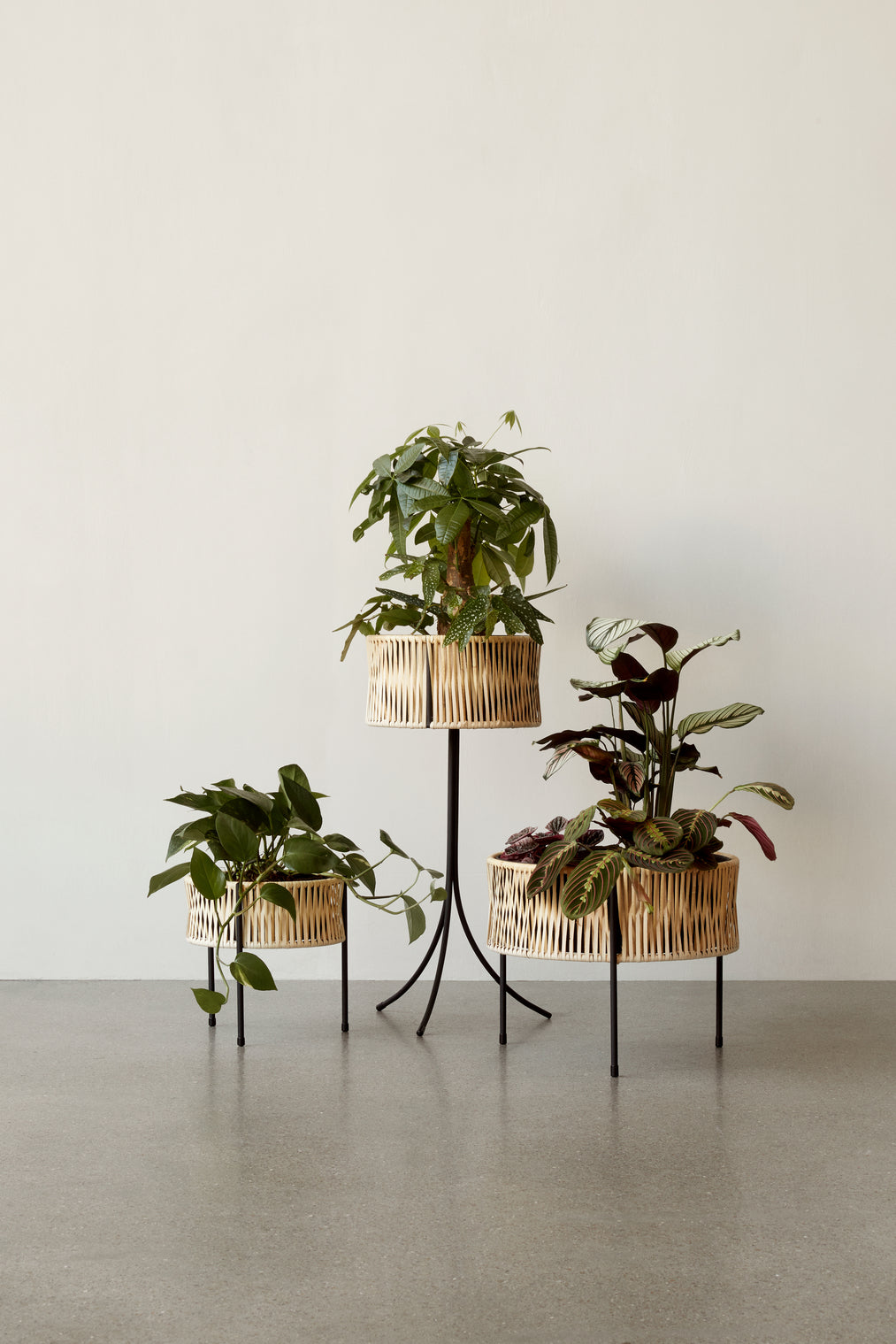 Doniczka UMANOFF rattan