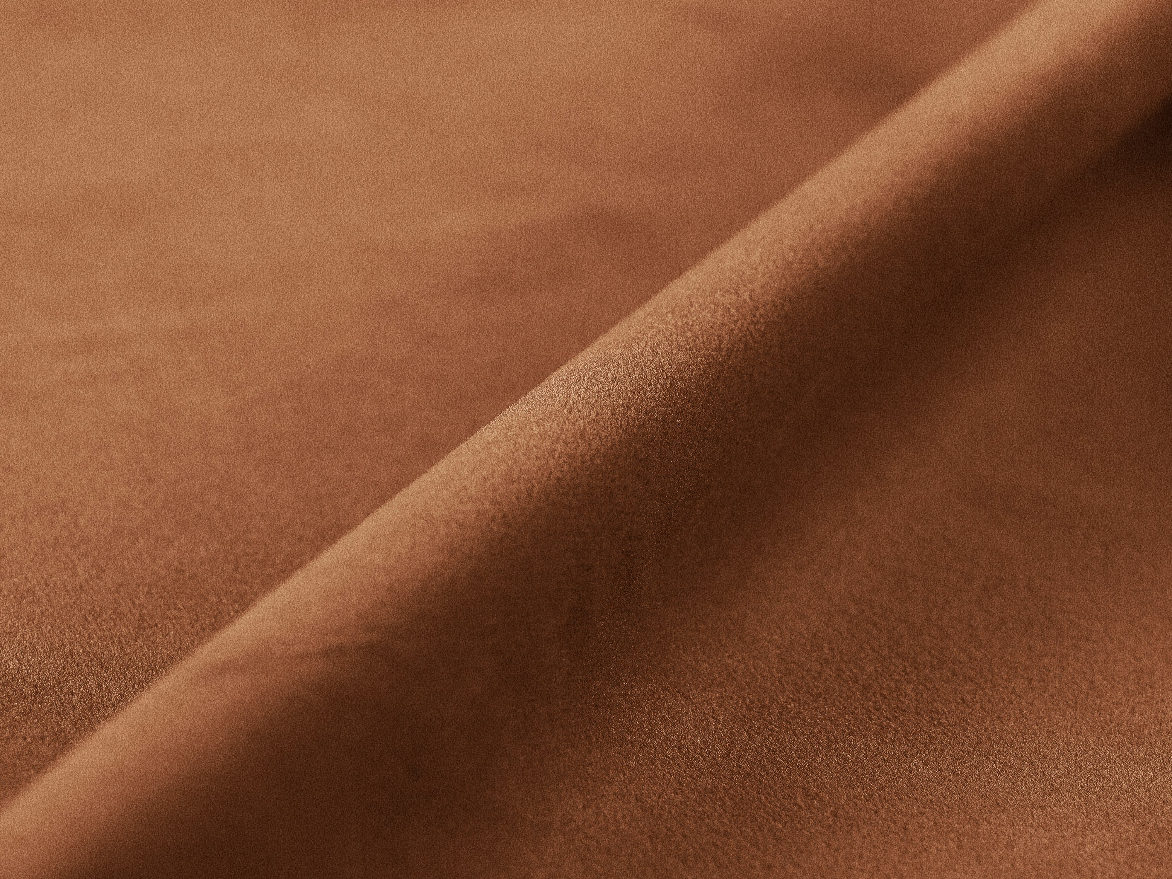 Velvet Bed LUPINE Honey