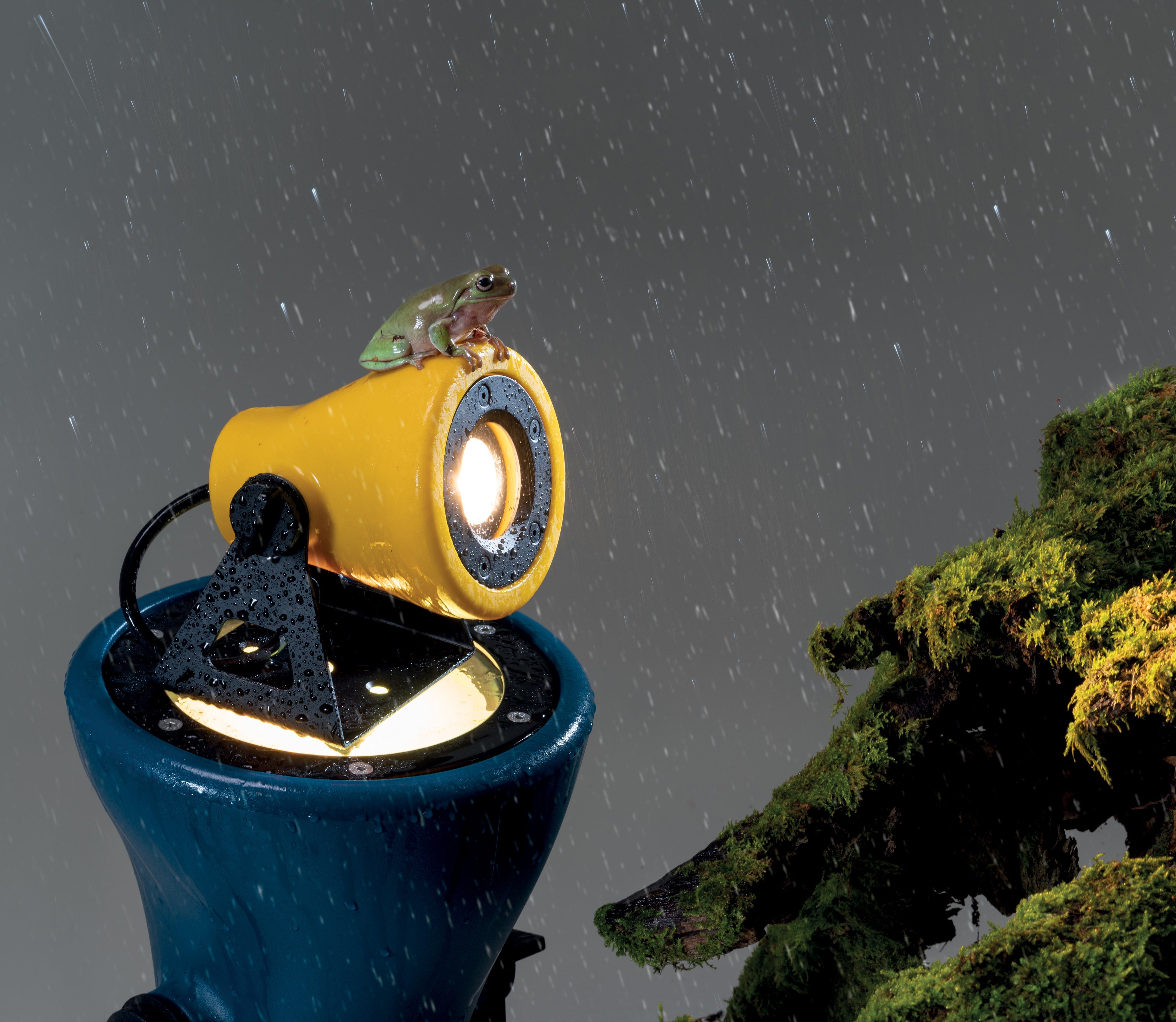 Lampa ścienna zewnętrzna FROG pomarańczowy