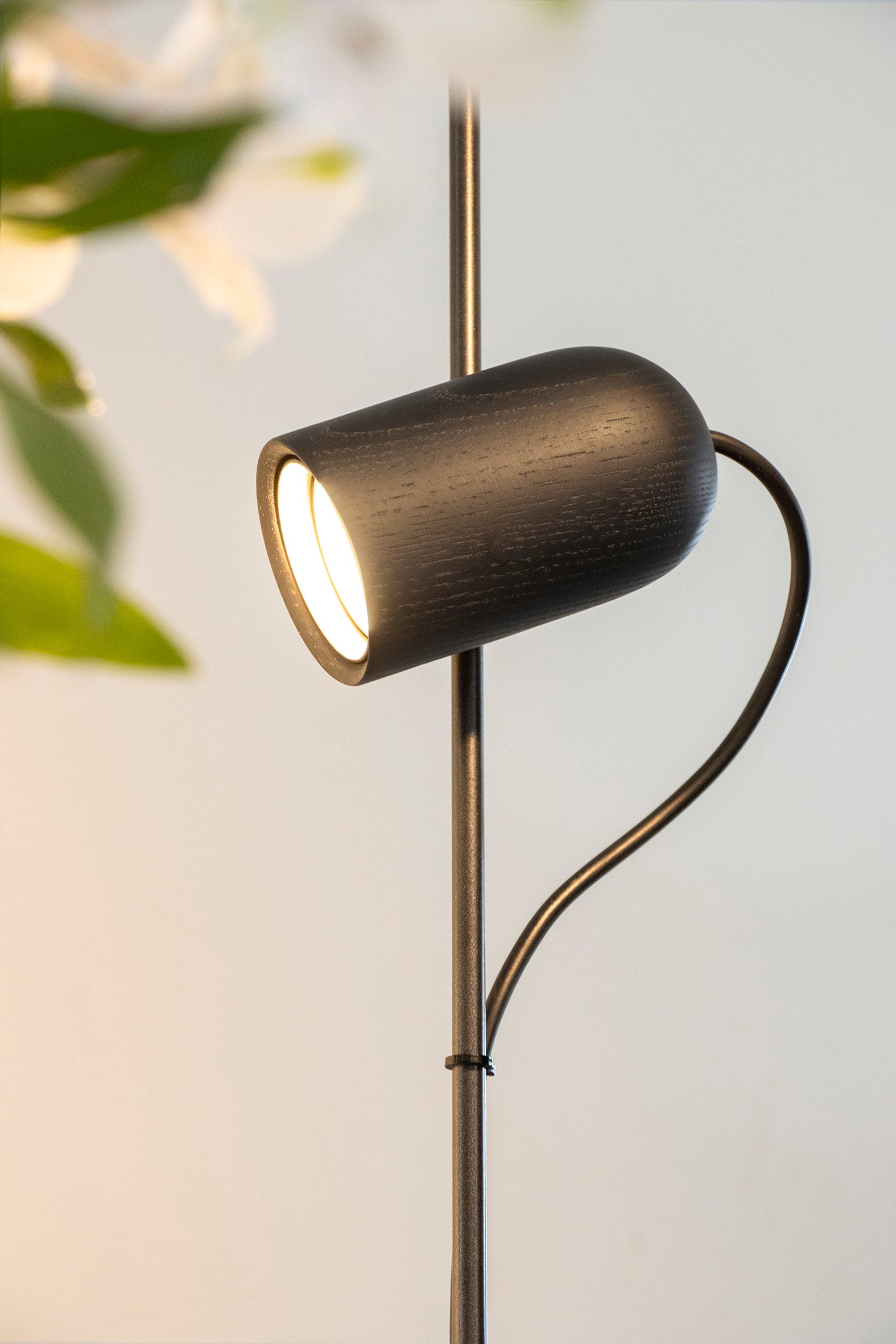 ONFA Pendant Lamp Black Ash Wood with Graphite Finish