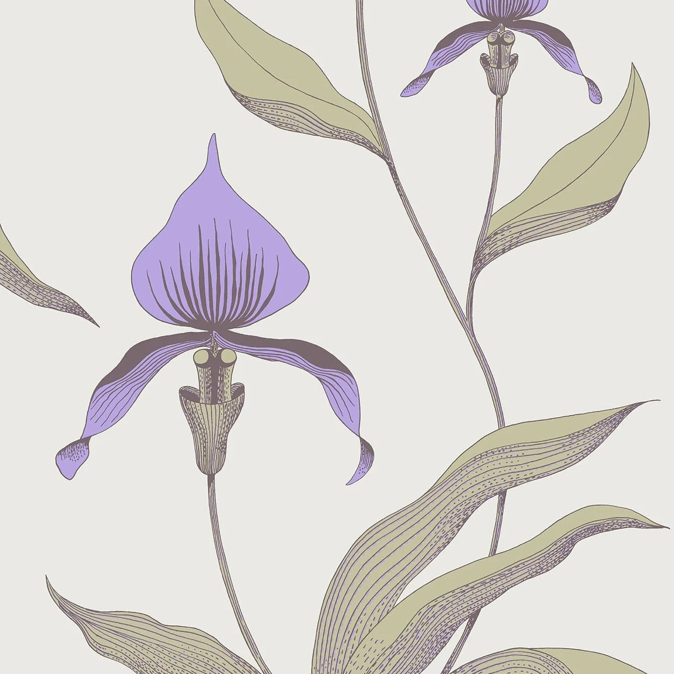 Wallpaper with a plant motif of orchid flowers CONTEMPORARY COLLECTION - OLIVE with purple