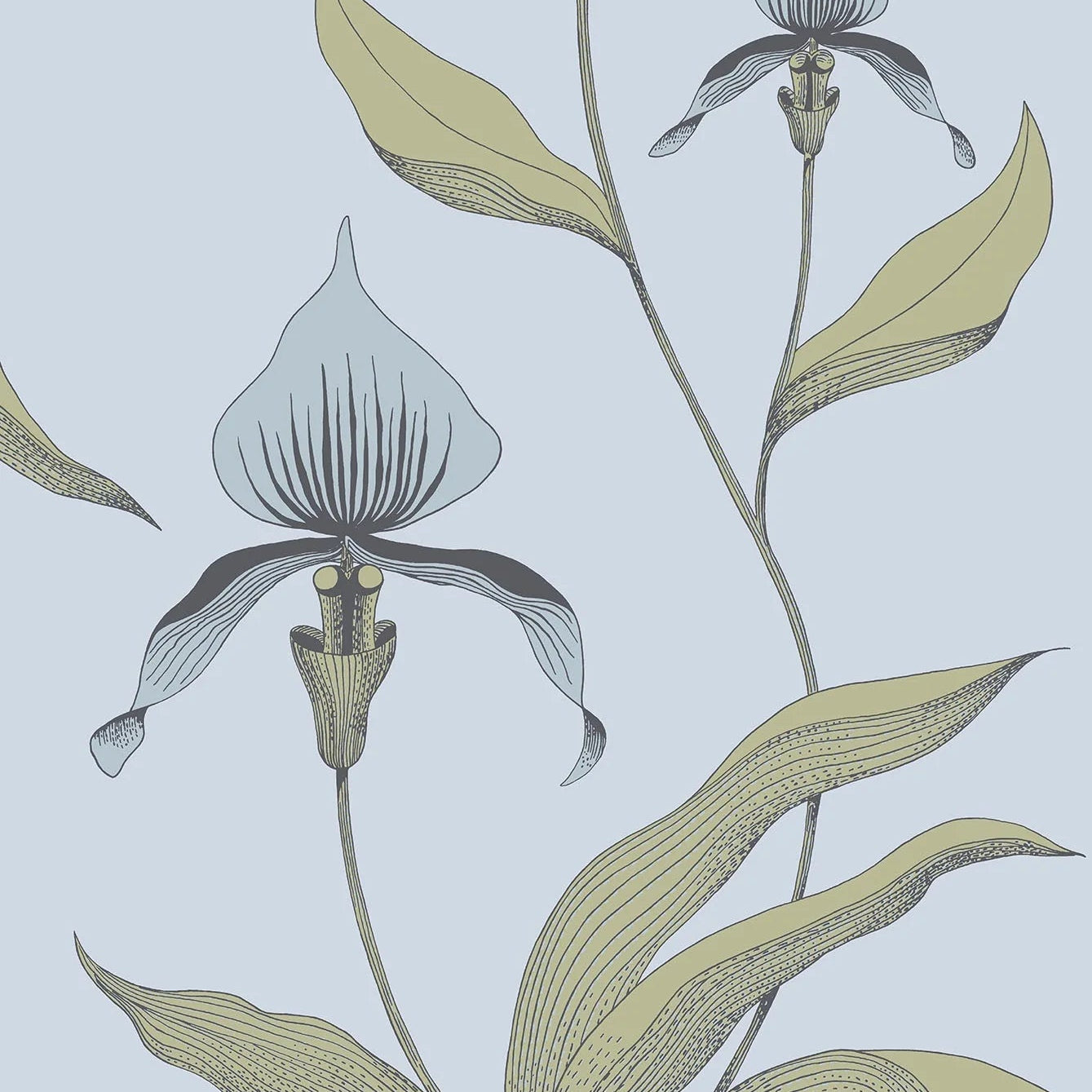 Tapete mit Pflanzenmotiv von Orchideen CONTEMPORARY COLLECTION - ORCHID puderblau mit olivgrün