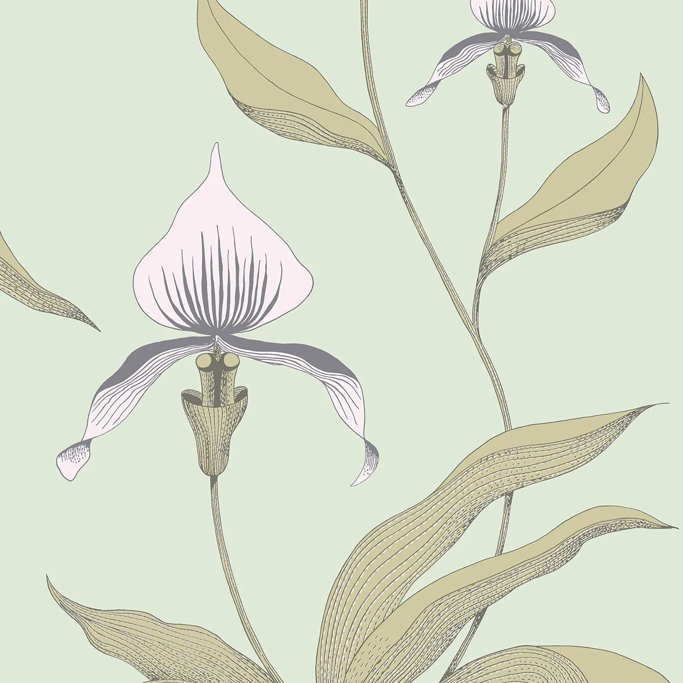 Tapeta z motywem roślinnym kwiatów orchidei CONTEMPORARY COLLECTION - ORCHID piaskowy z zielonym