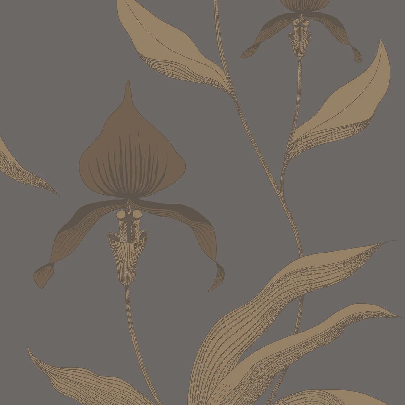 Tapeta z motywem roślinnym kwiatów orchidei CONTEMPORARY COLLECTION - ORCHID brązowy z ciemnoszarym