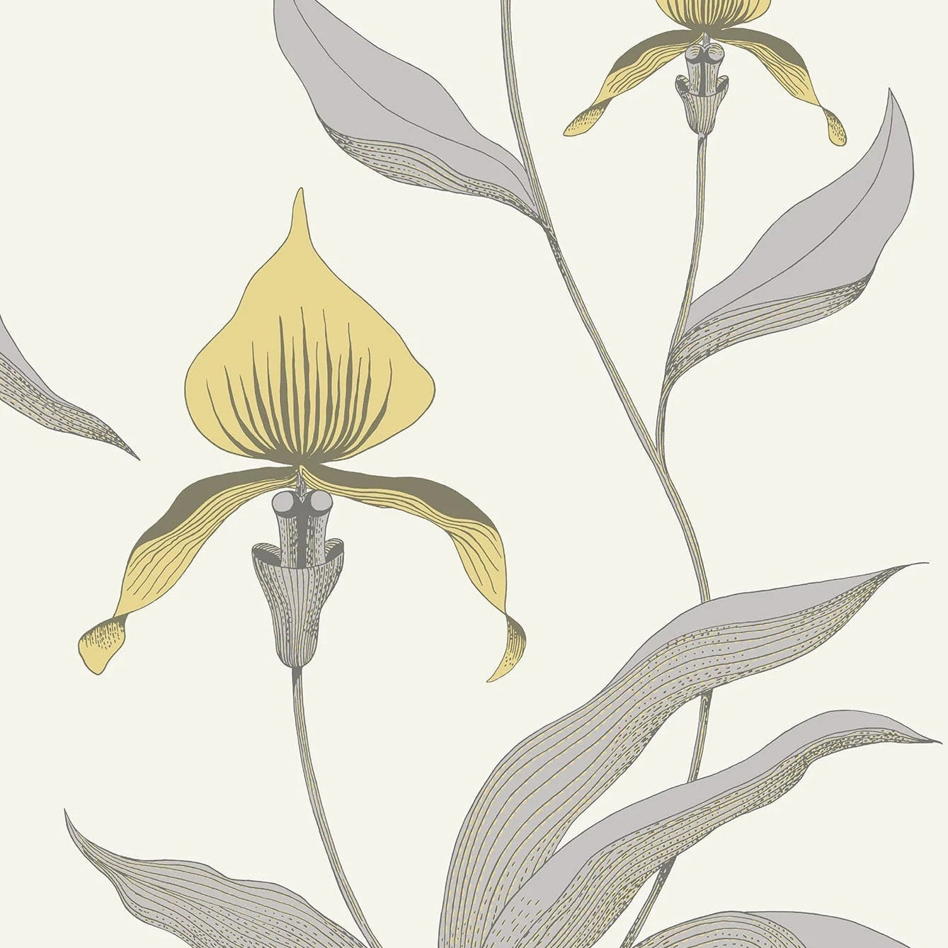 Tapete mit Pflanzenmotiv von Orchideen CONTEMPORARY COLLECTION - ORCHID gelb mit grau