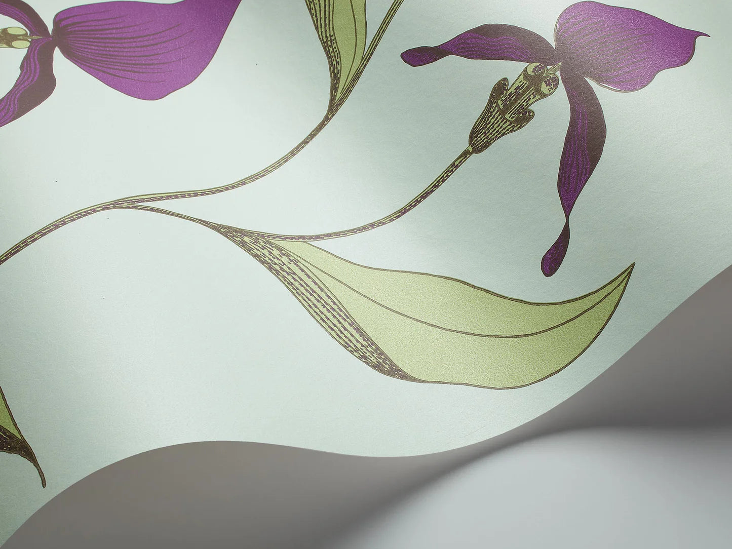 Tapete mit Pflanzenmotiv von Orchideen CONTEMPORARY COLLECTION - ORCHID lila mit grün