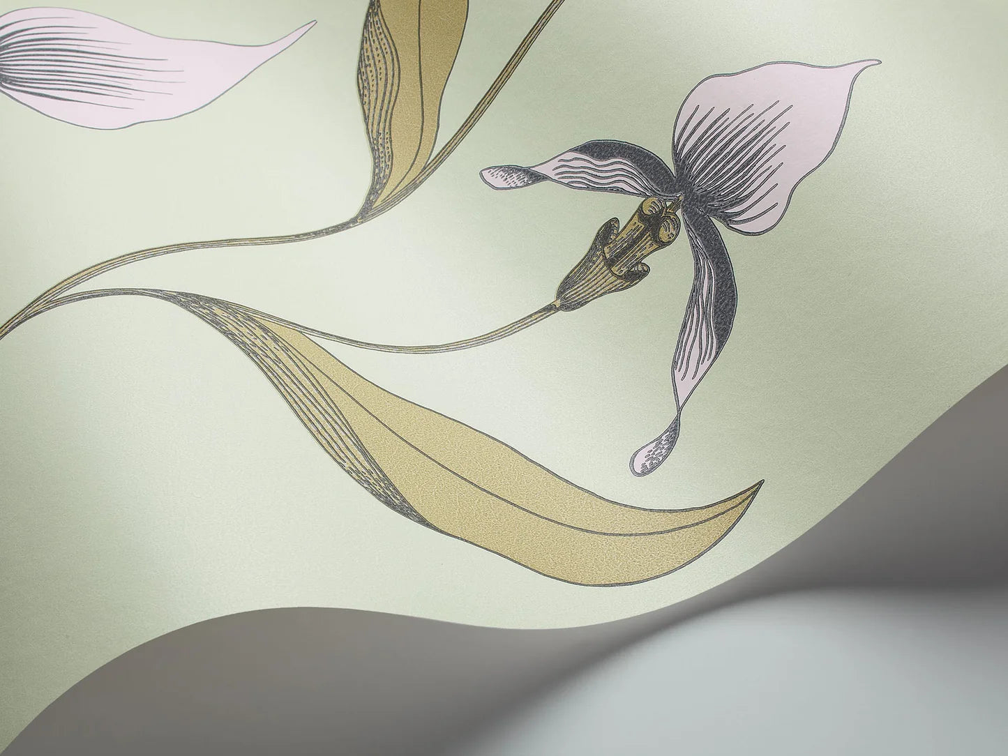 Tapeta z motywem roślinnym kwiatów orchidei CONTEMPORARY COLLECTION - ORCHID piaskowy z zielonym