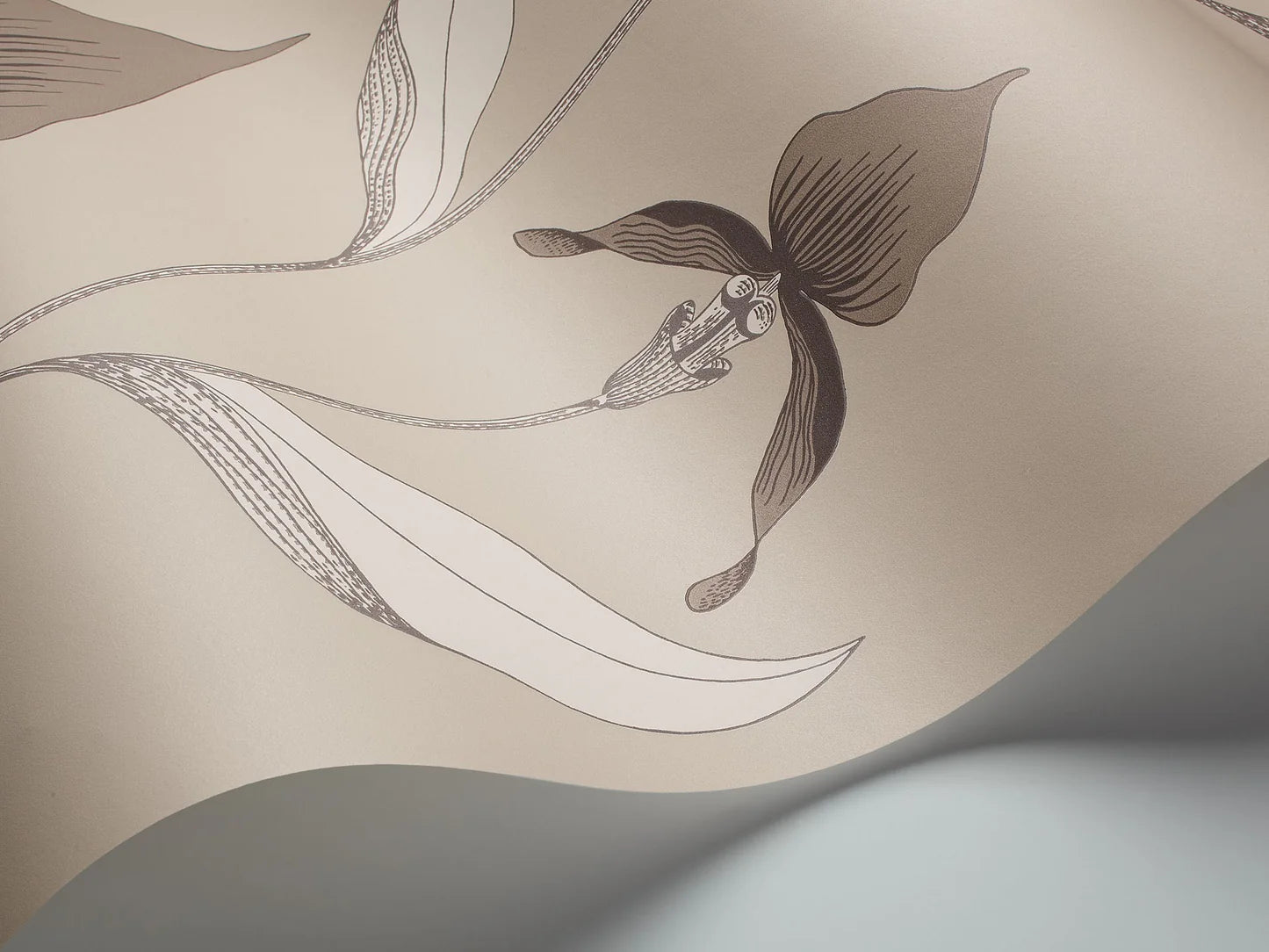 Wallpaper with a plant motif of orchid flowers CONTEMPORARY COLLECTION - ORCHID taupe with brown