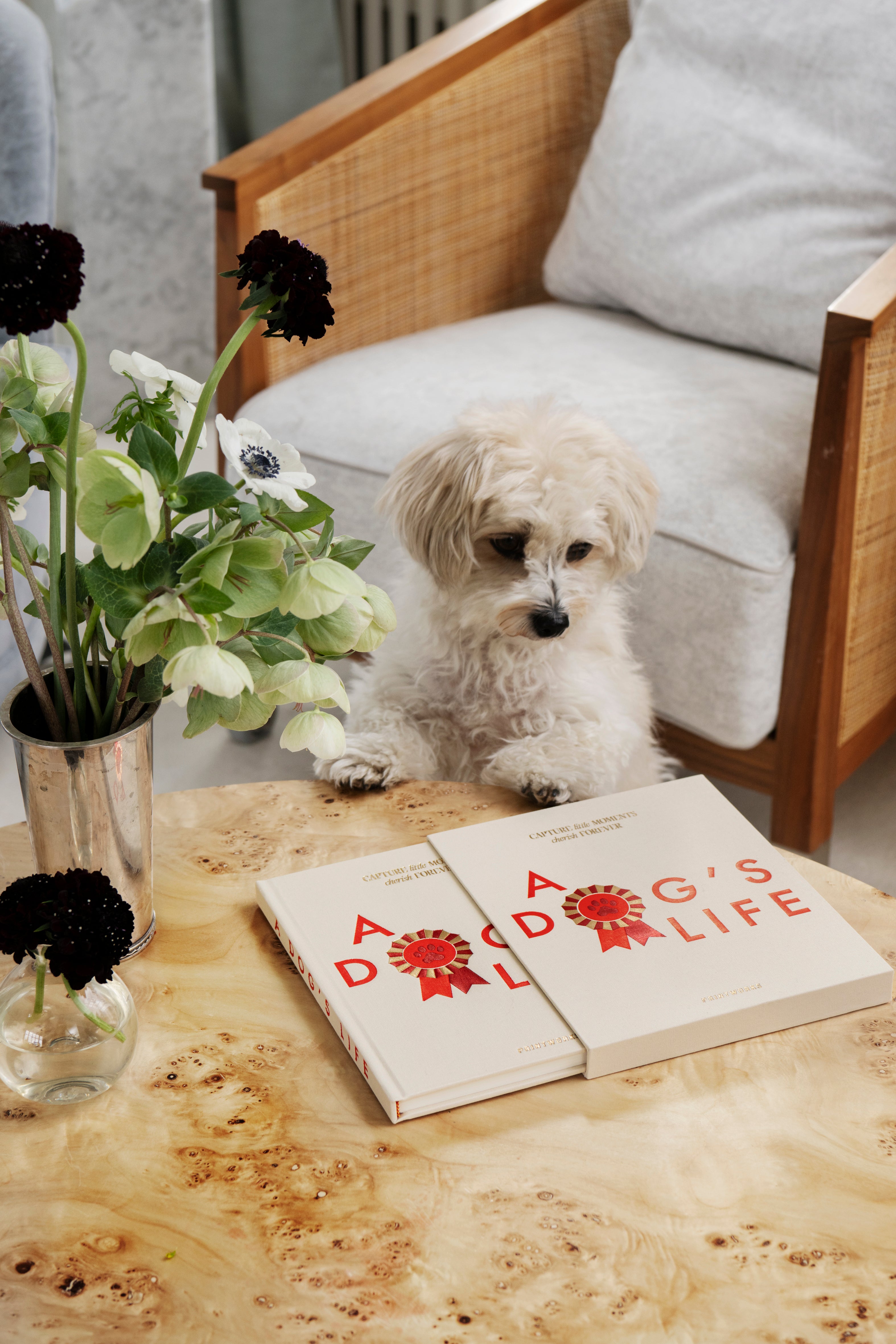 Dziennik A DOG'S LIFE beżowy z czerwonym