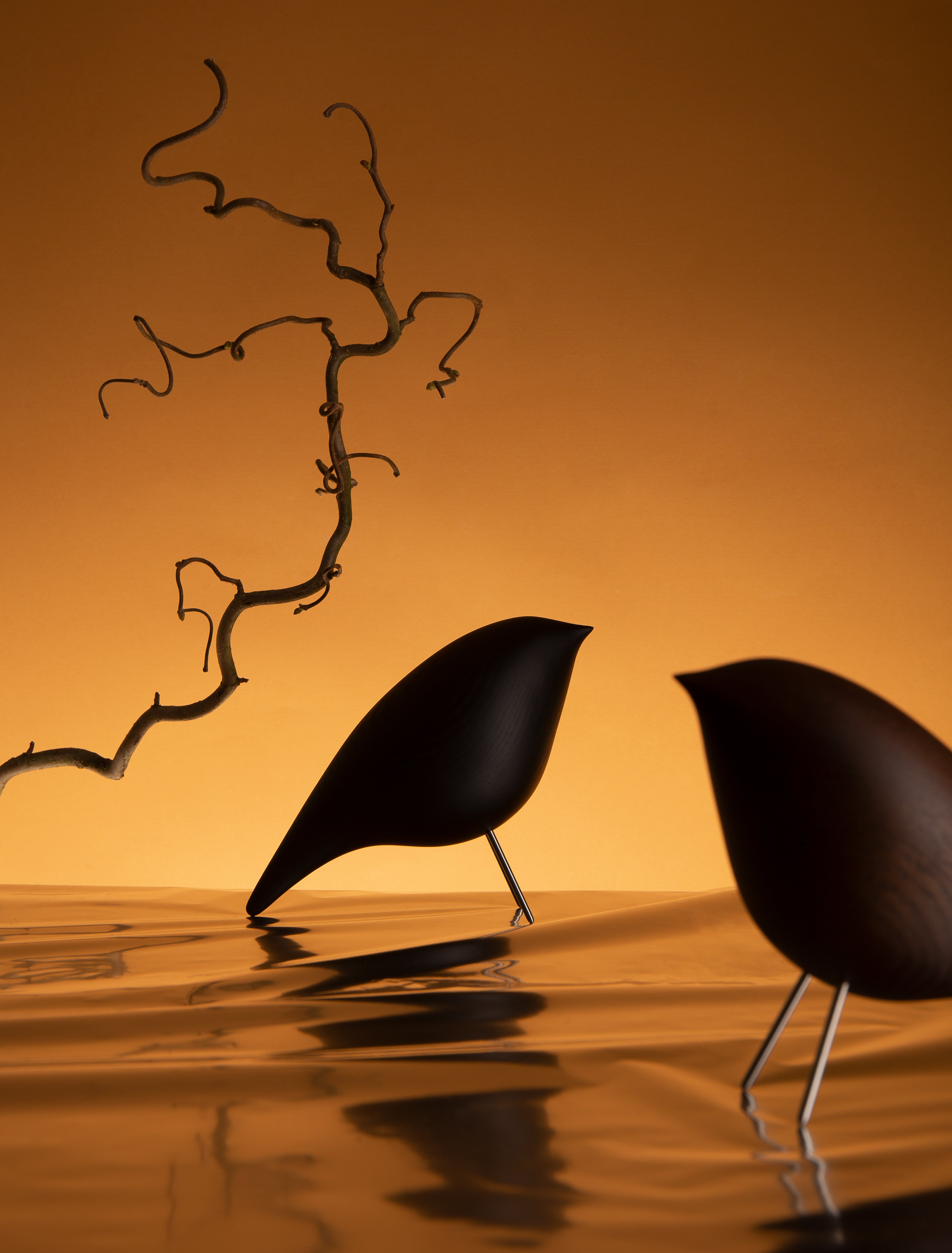 Decorative Figure TWEETY DECORATIVE BIRD black ash