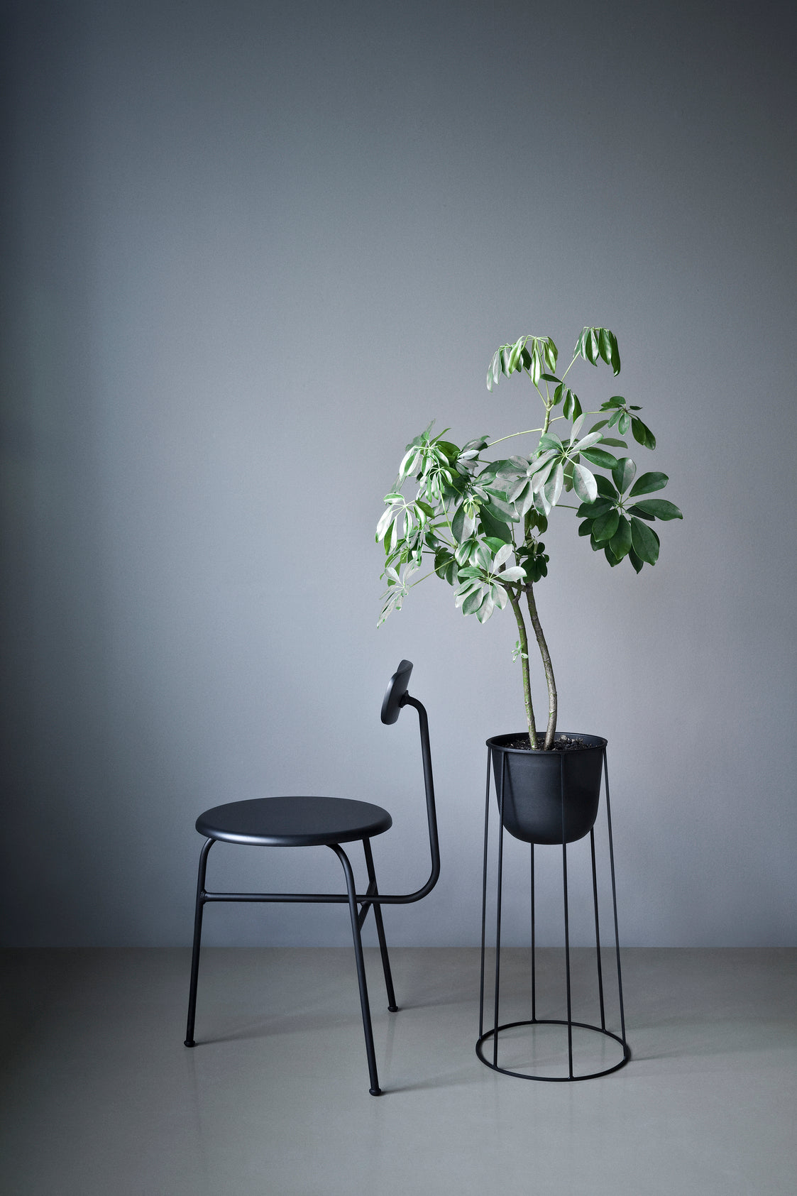 AFTEROOM Chair dark oak veneer