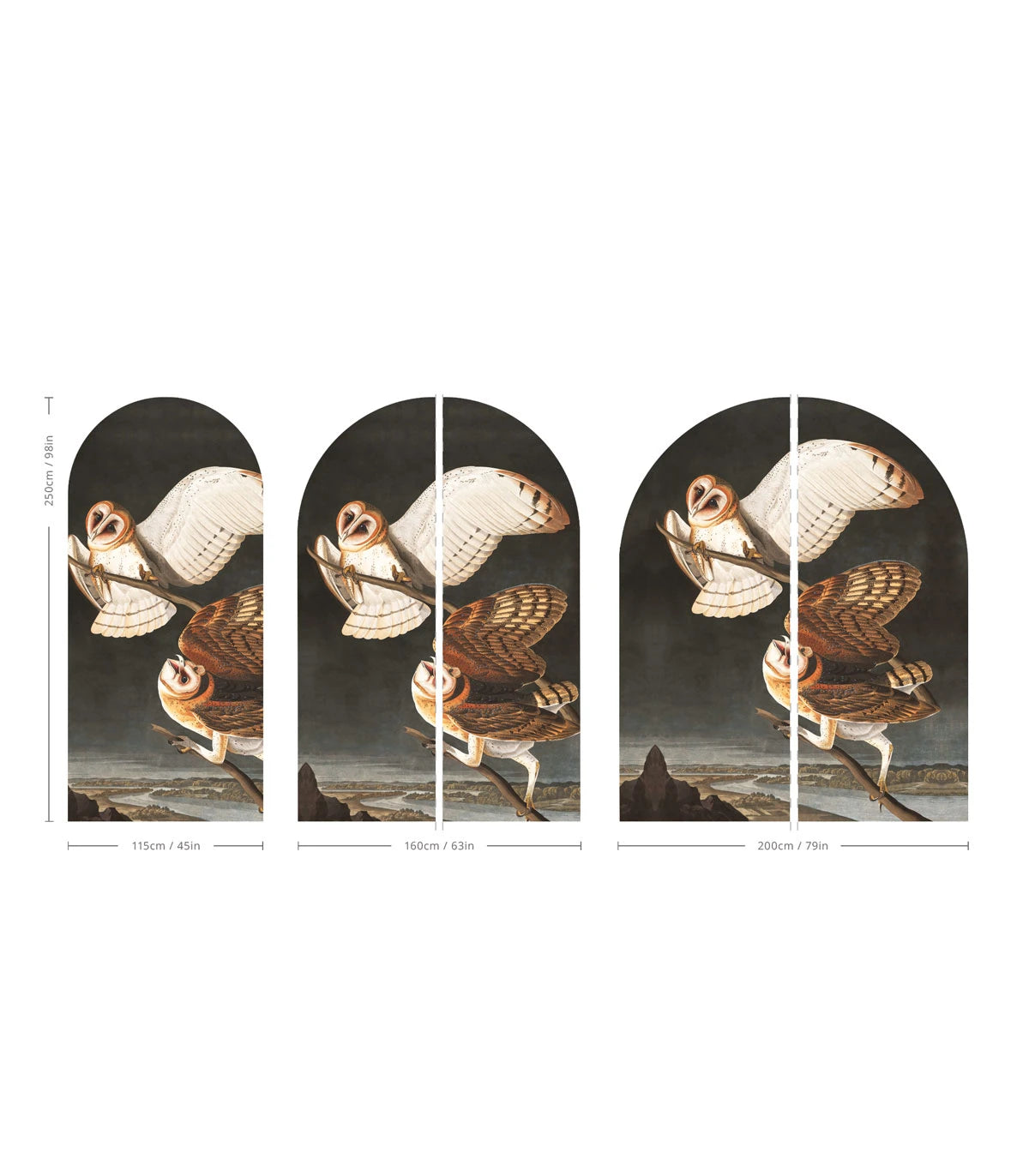 Mural flizelinowy w kształcie łuku OWLS ciemnoszary