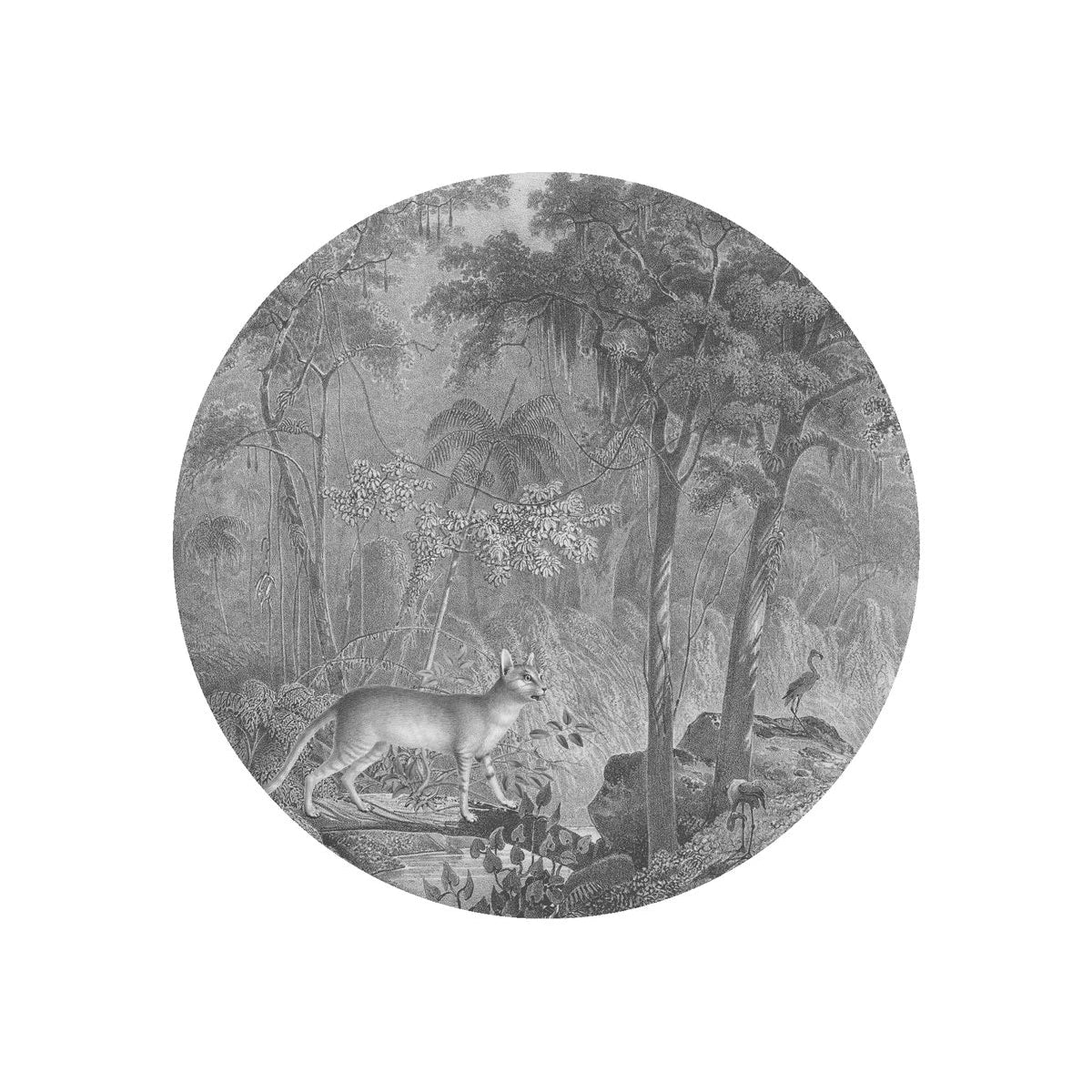 Lampa ścienna DOTS LIGHTING - JUNGLE CAT szary