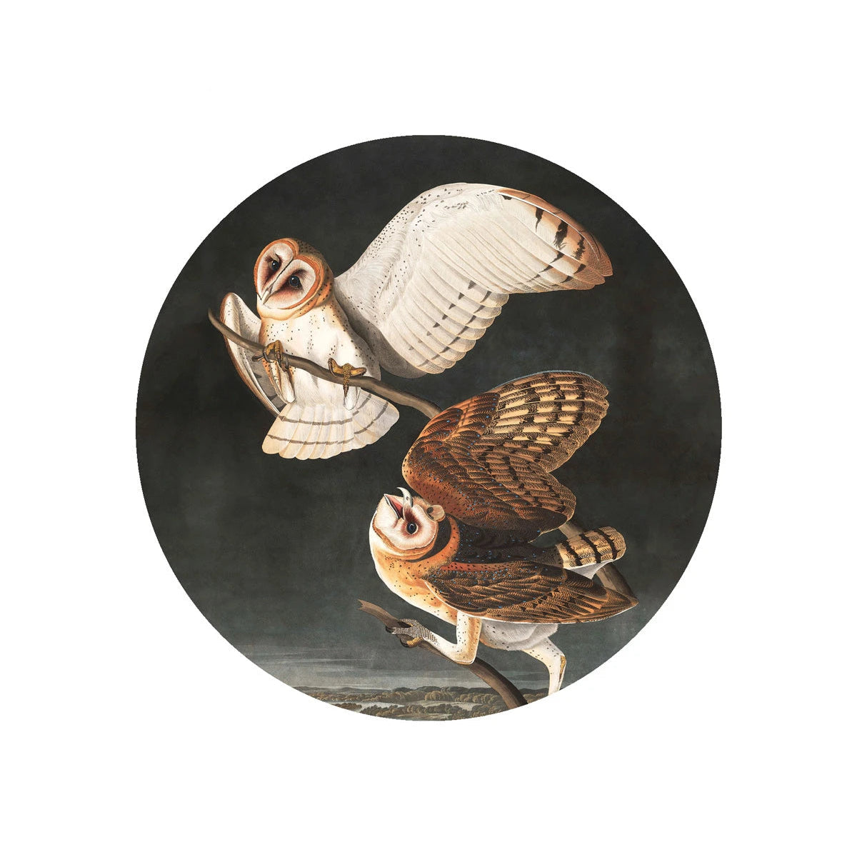 Lampa ścienna DOTS LIGHTING - OWLS ciemnoszary