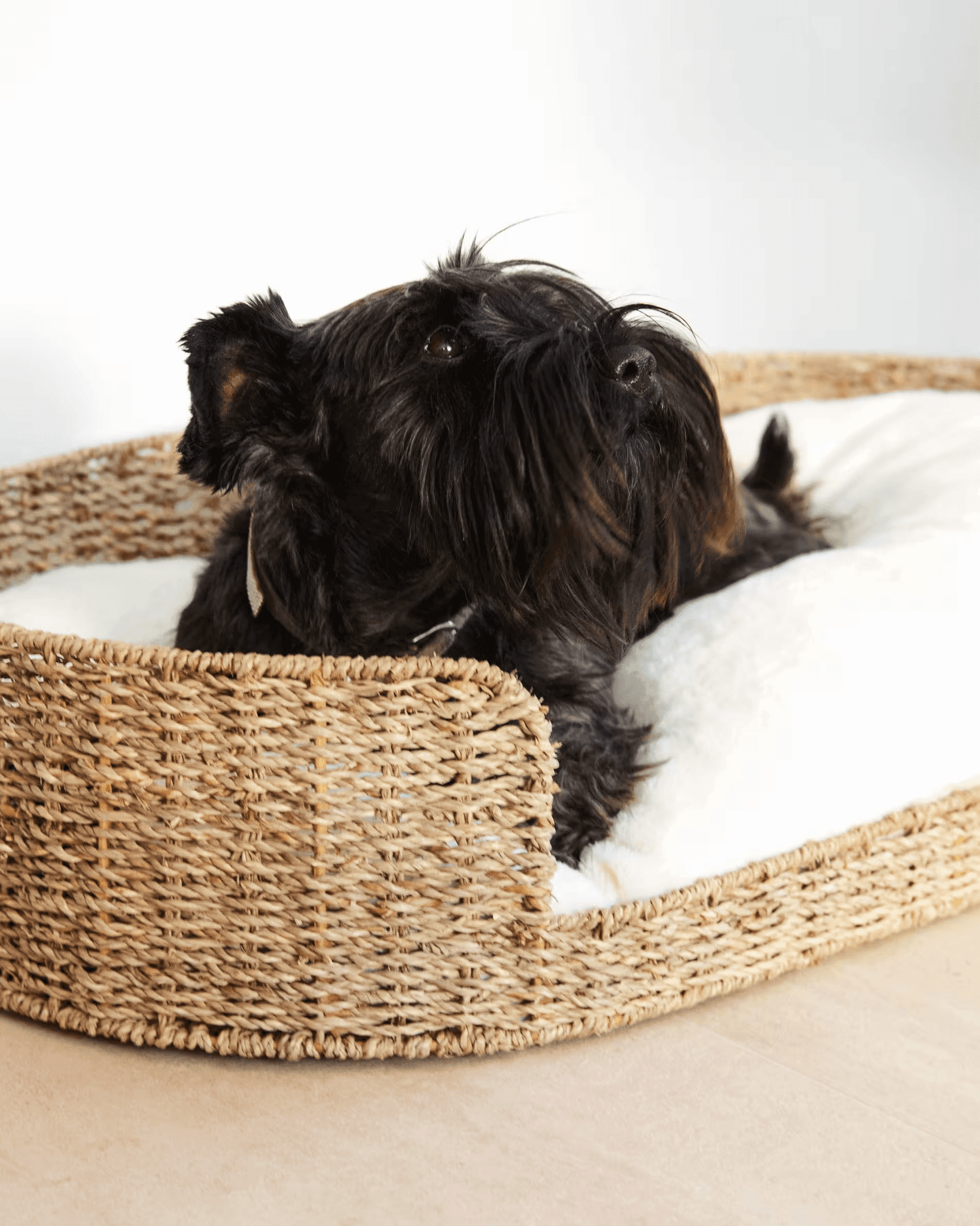 Legowisko CODIE kremowy La Forma Eye on Design