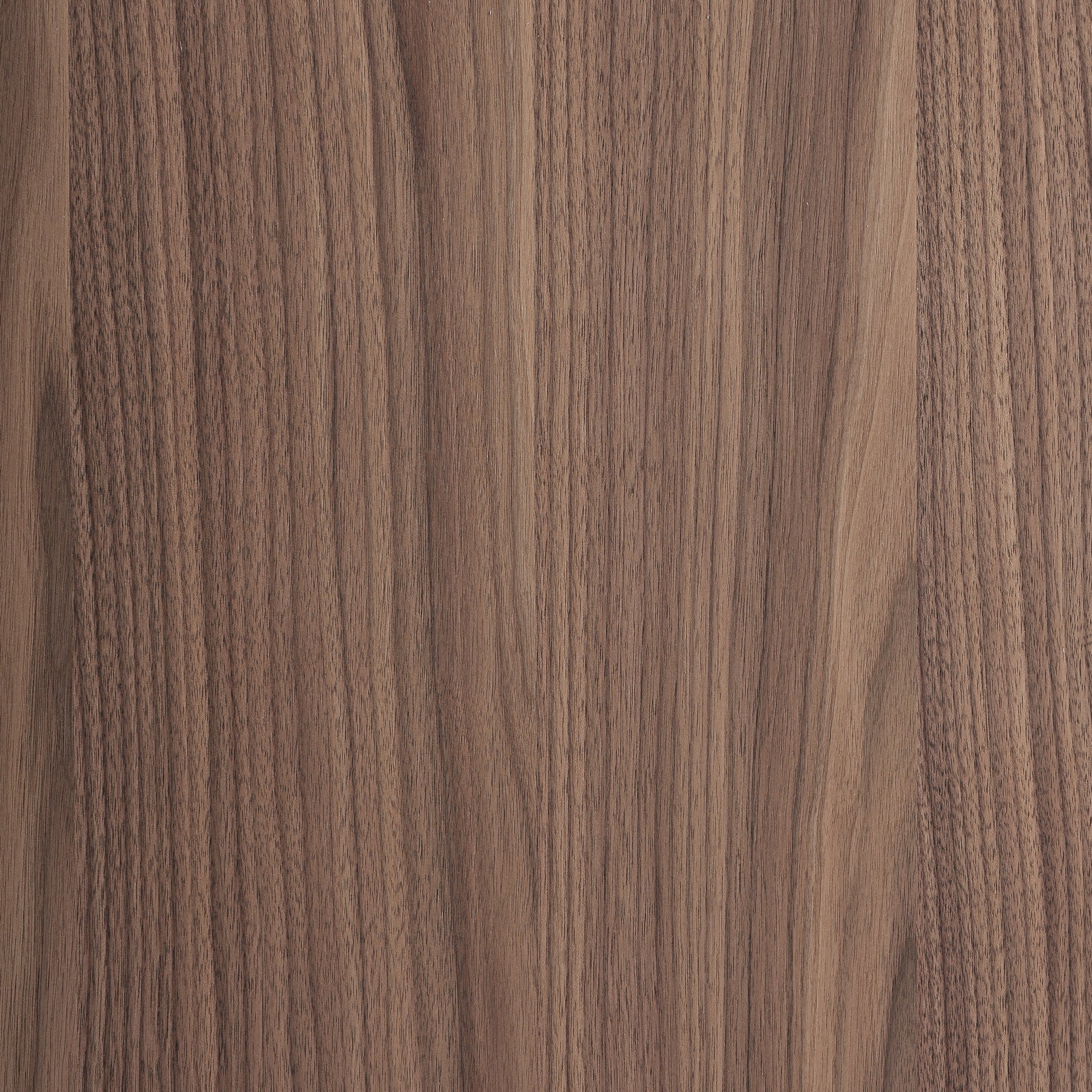 Szafka RTV KEXBY fornir orzechowy