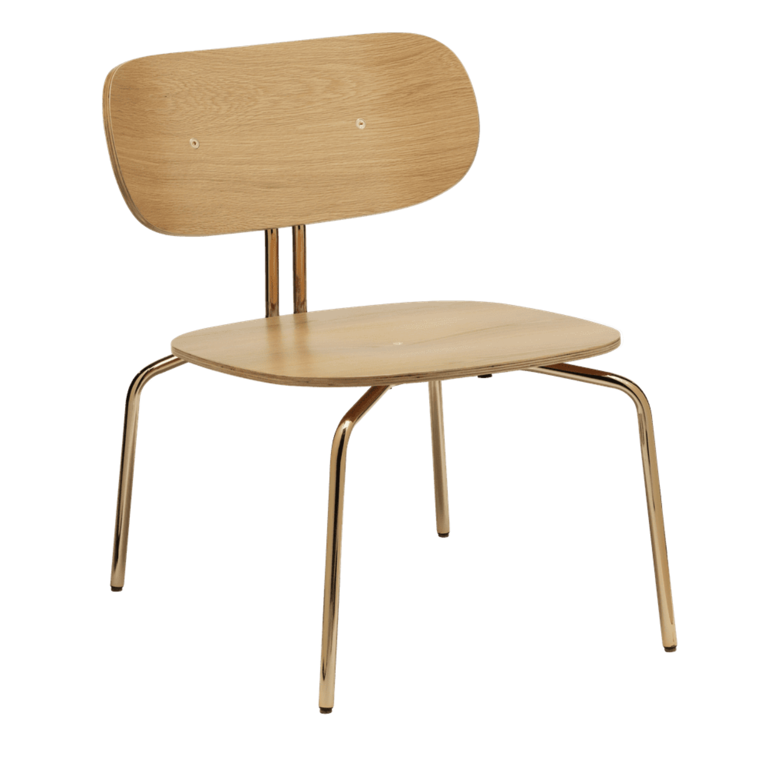 Curious oak veneer armchair with a golden base
