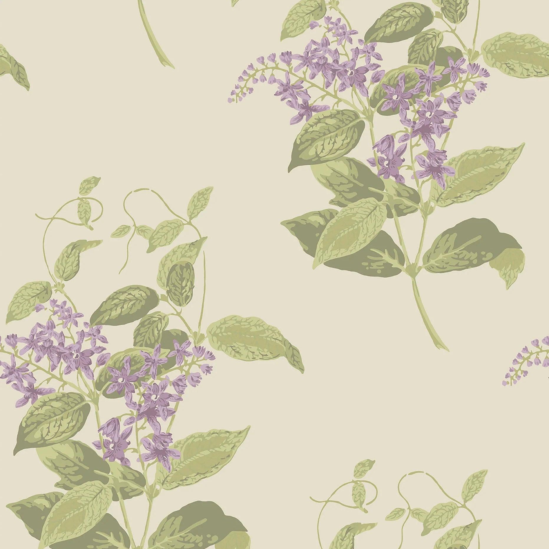 Tapeta ARCHIVE ANTHOLOGY - Madras Violet fiolet na kremie Cole & Son Eye on Design
