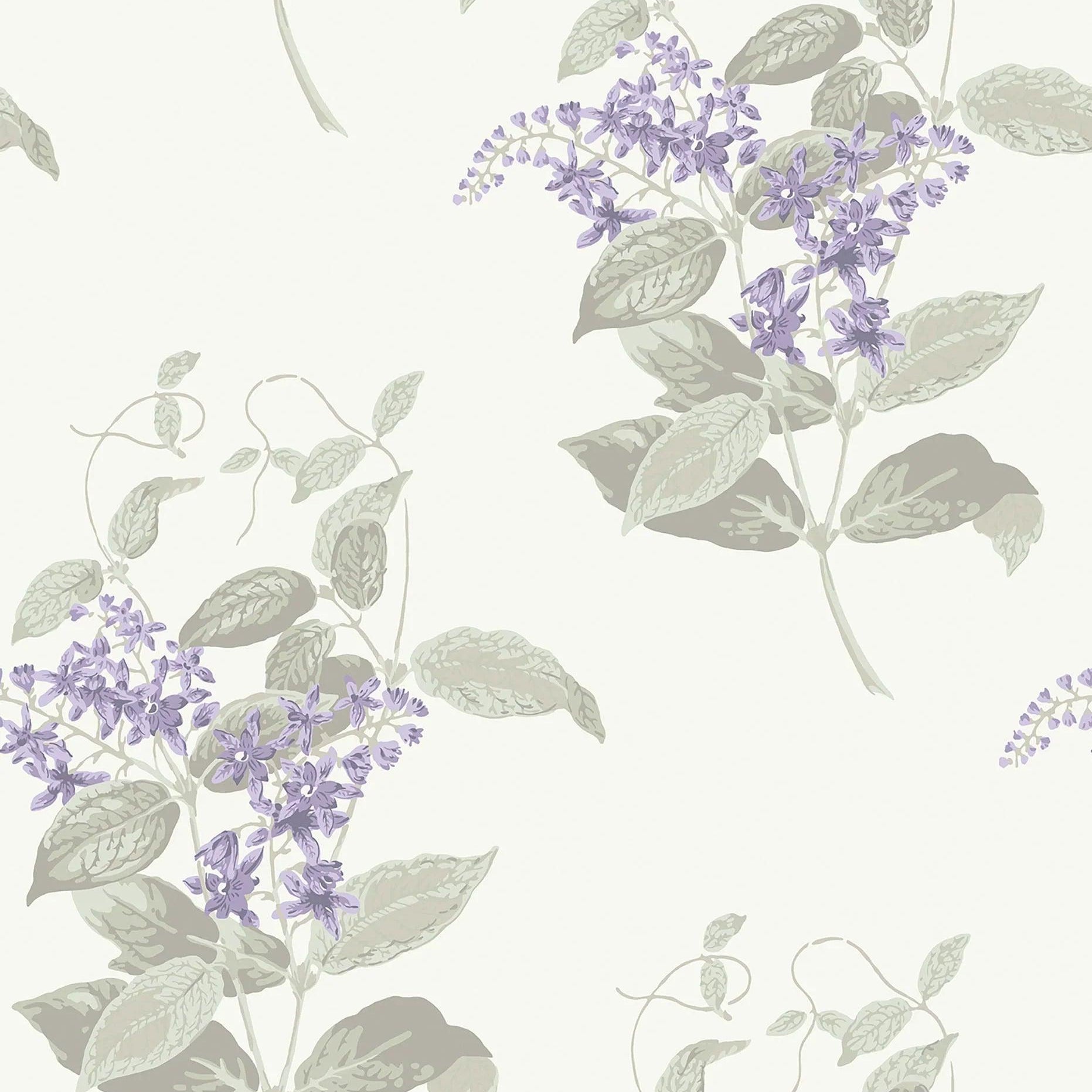 Tapeta ARCHIVE ANTHOLOGY - Madras Violet liliowy na białym Cole & Son Eye on Design
