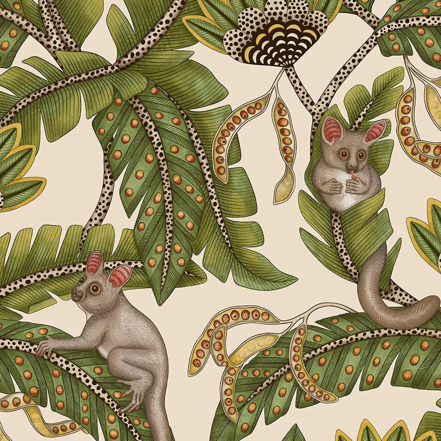Tapeta ARDMORE JABULA - Bush Baby oliwkowy na kremowym Cole & Son Default Title Eye on Design