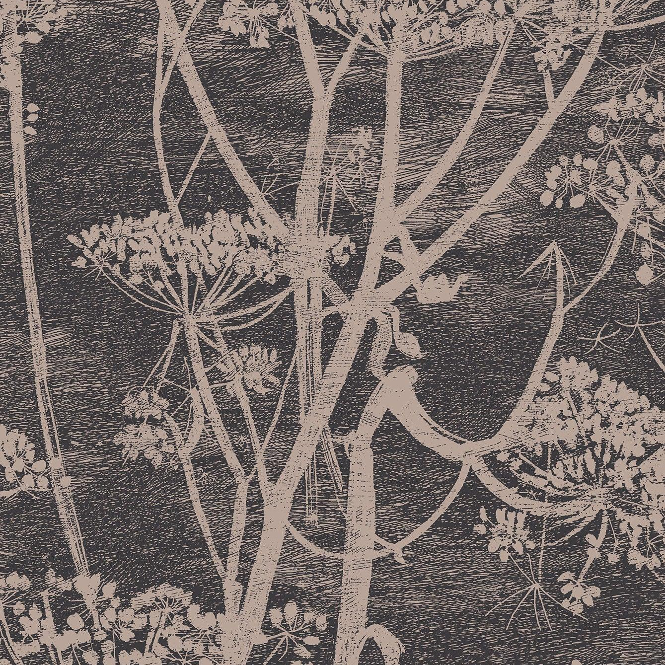 Tapeta CONTEMPORARY COLLECTION - Cow Parsley ciemny brąz Cole & Son Default Title Eye on Design