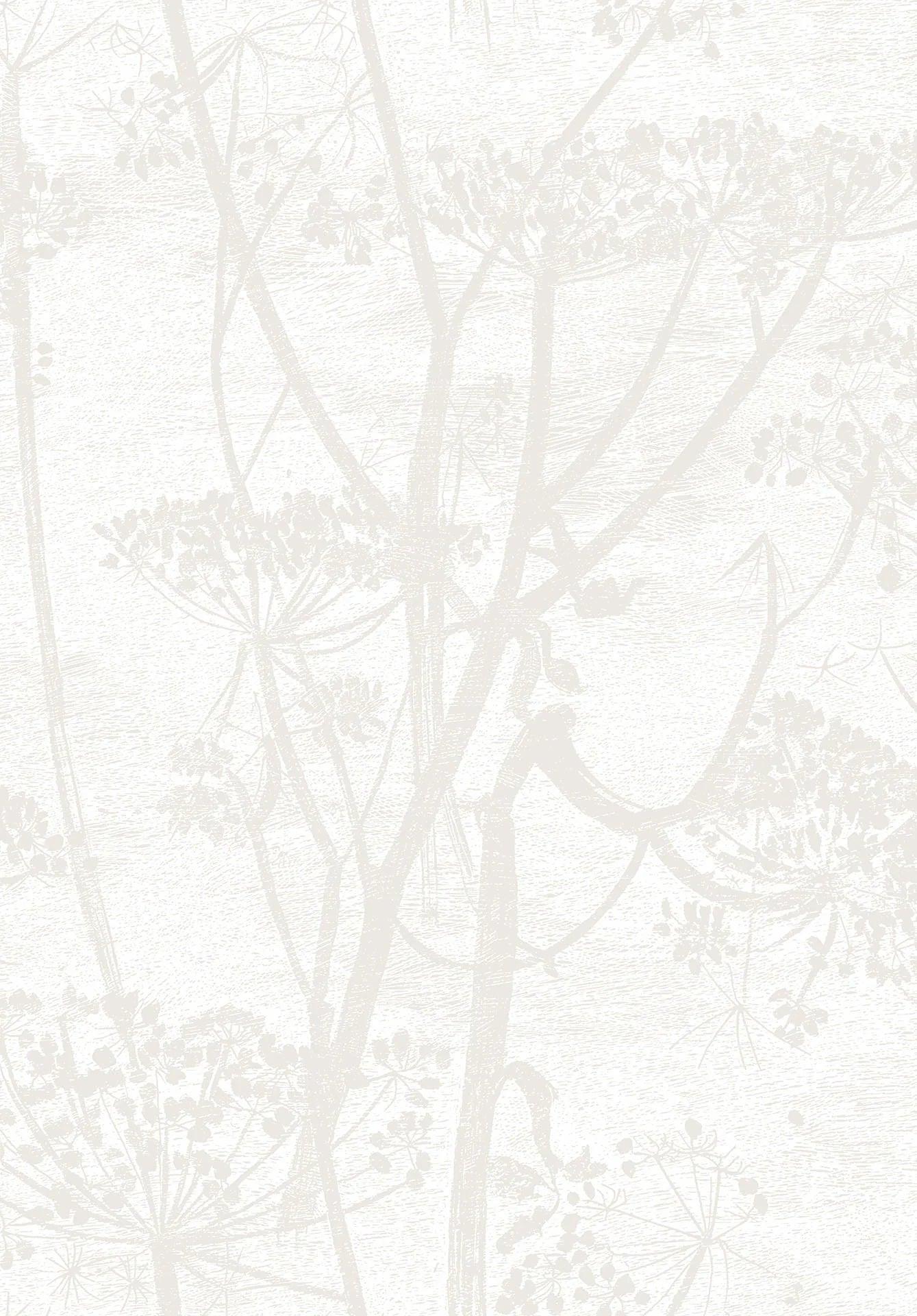 Tapeta CONTEMPORARY COLLECTION - Cow Parsley pergamin Cole & Son Eye on Design