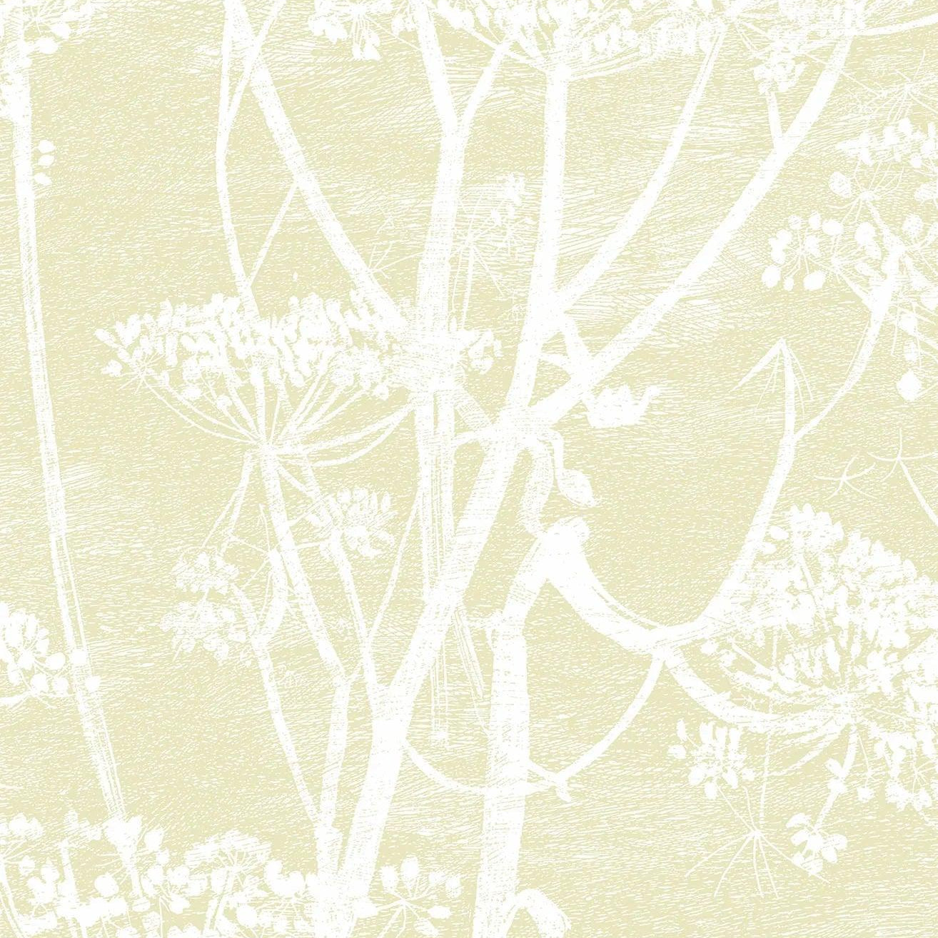 Tapeta CONTEMPORARY COLLECTION - Cow Parsley żółty Cole & Son Eye on Design
