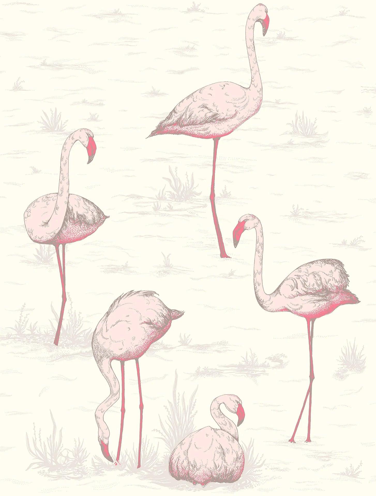 Tapeta z motywem zwierzęcym flamingów CONTEMPORARY COLLECTION - Flamingos różowy
