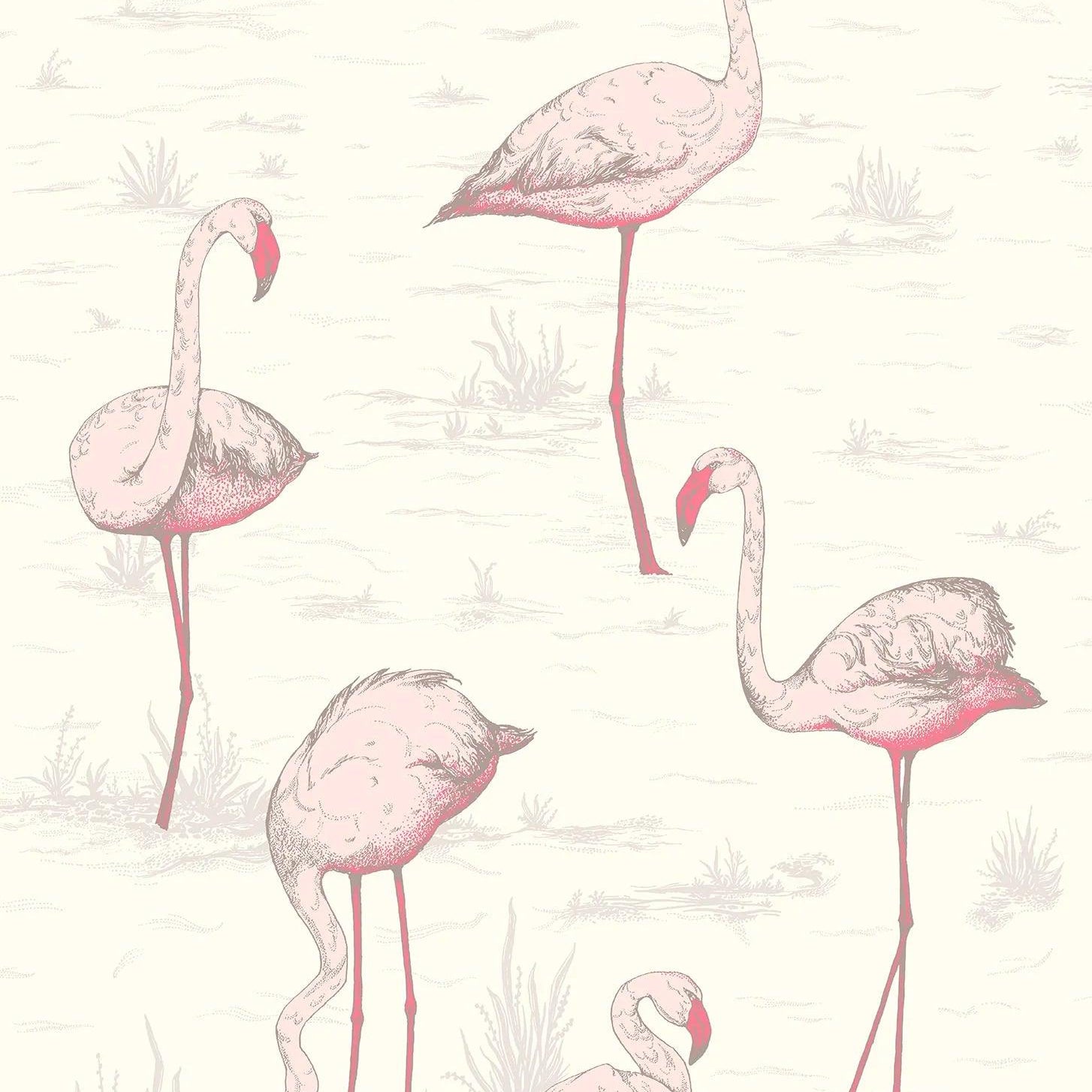 Tapeta CONTEMPORARY COLLECTION - Flamingos różowy Cole & Son Default Title Eye on Design