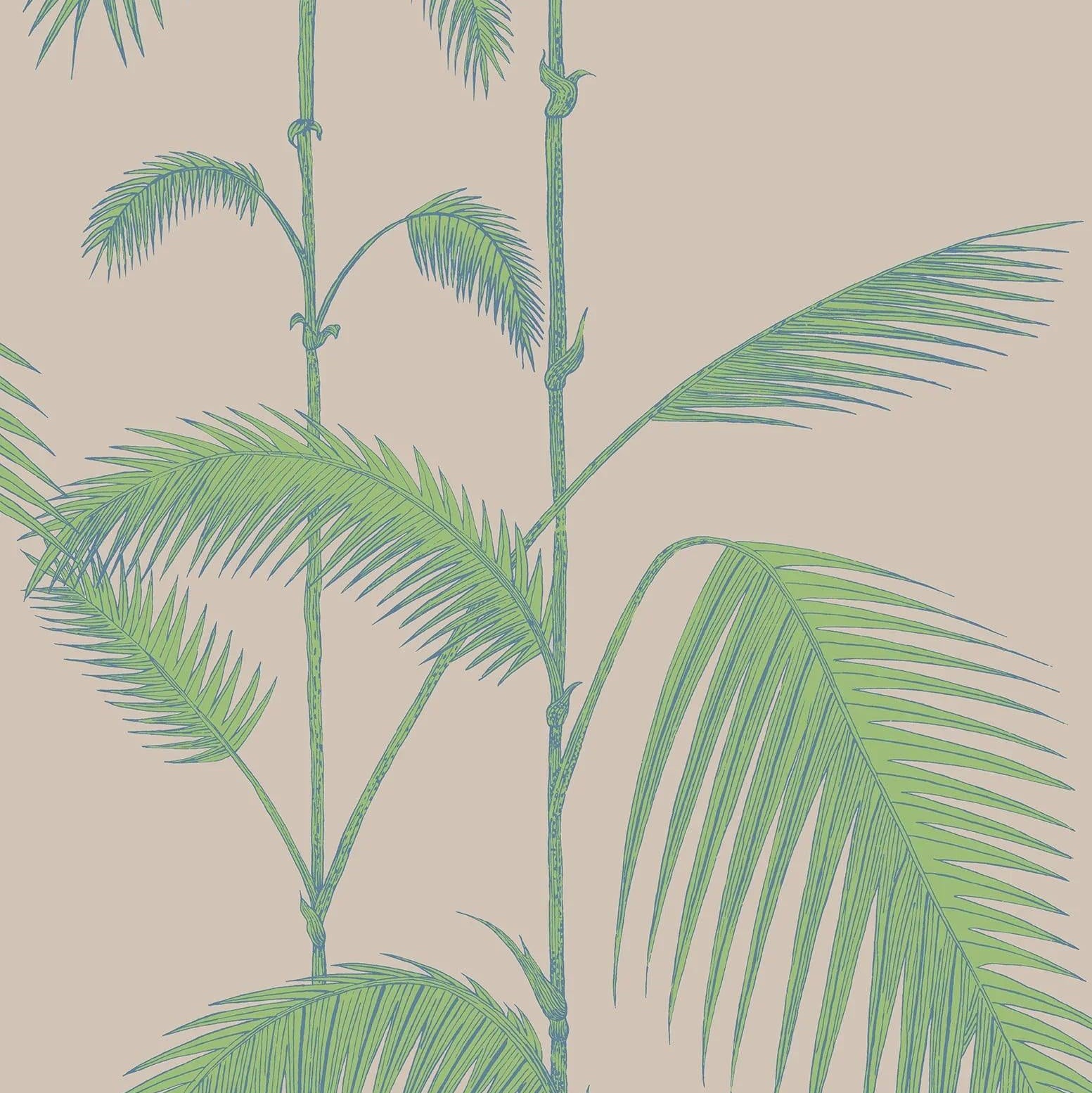 Tapeta CONTEMPORARY COLLECTION - Palm Leaves zielony na beżu Cole & Son Eye on Design