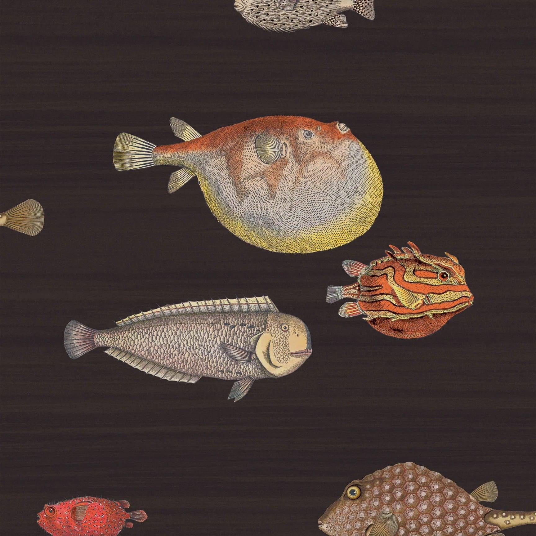 Tapeta FORNASETTI - Acquario czarny Cole & Son Default Title Eye on Design