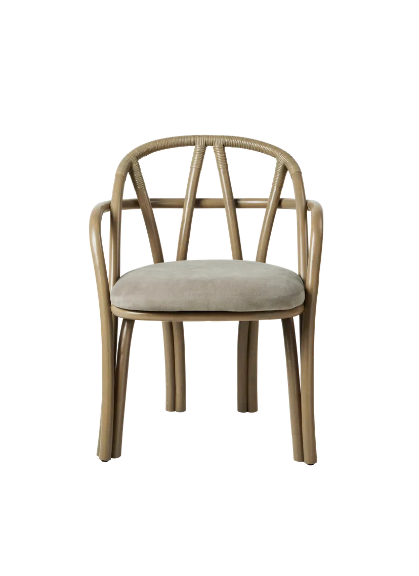 BISTRA upholstered chair with an olive rattan base