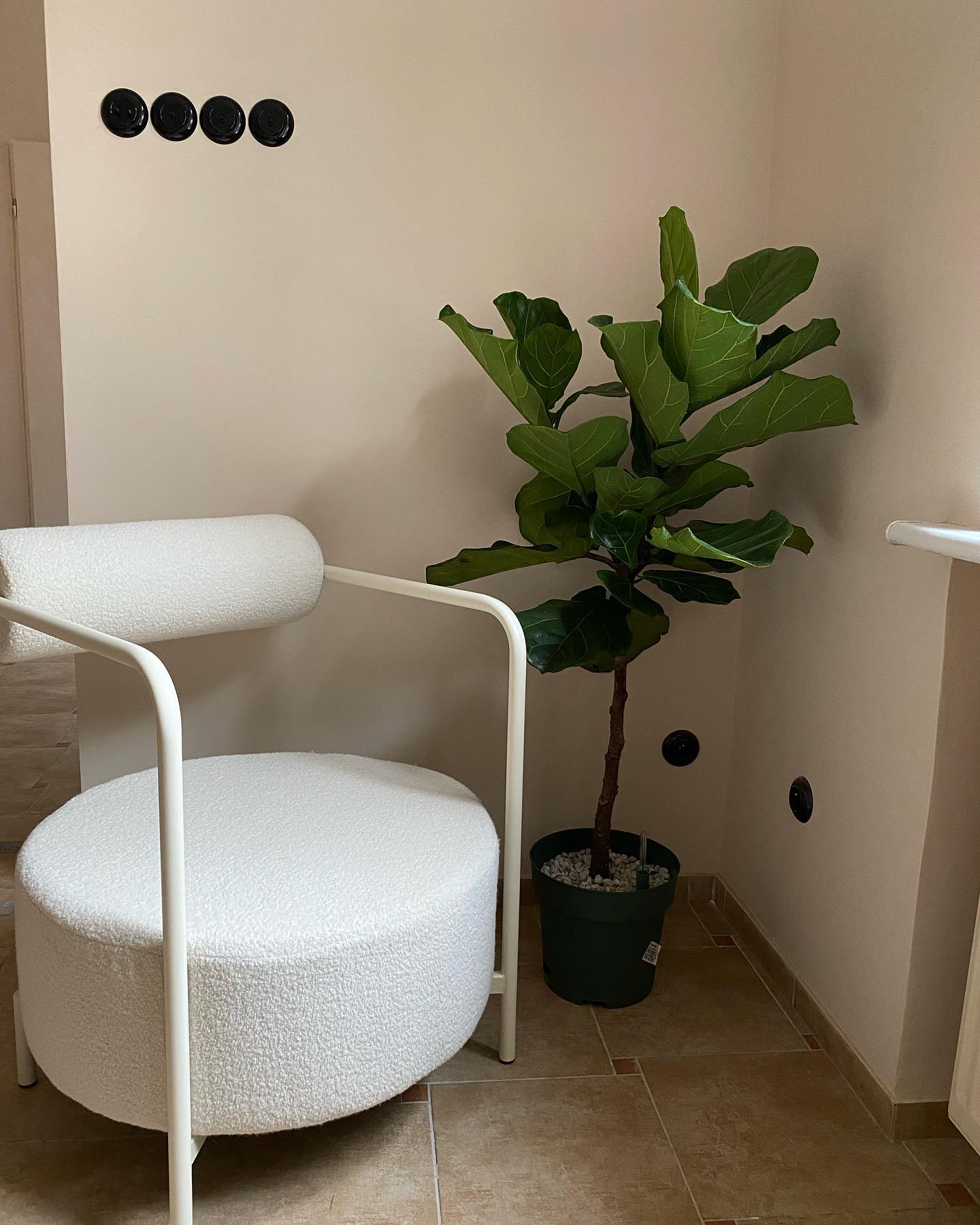 Fotel SAFFRON tapicerowany