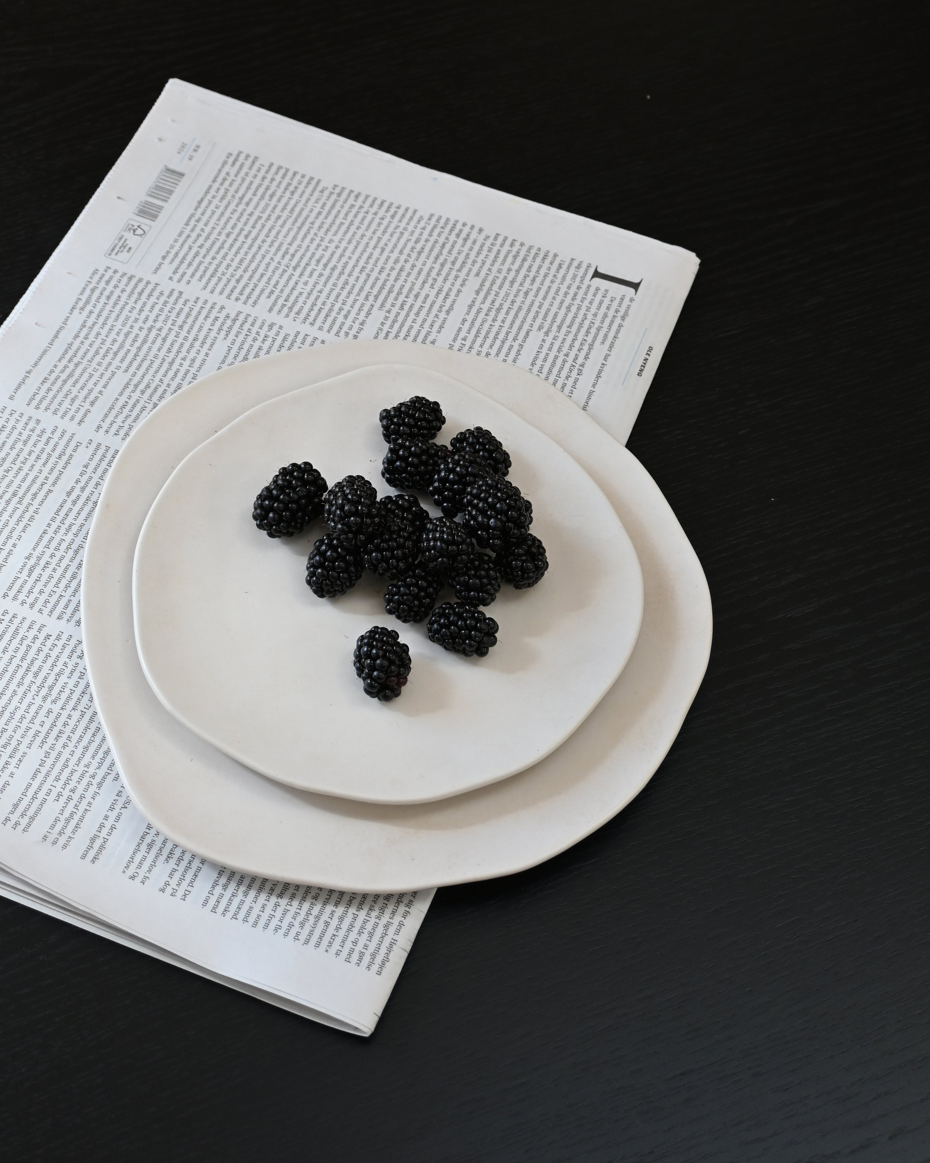 NATIVE Plate Set White Stoneware