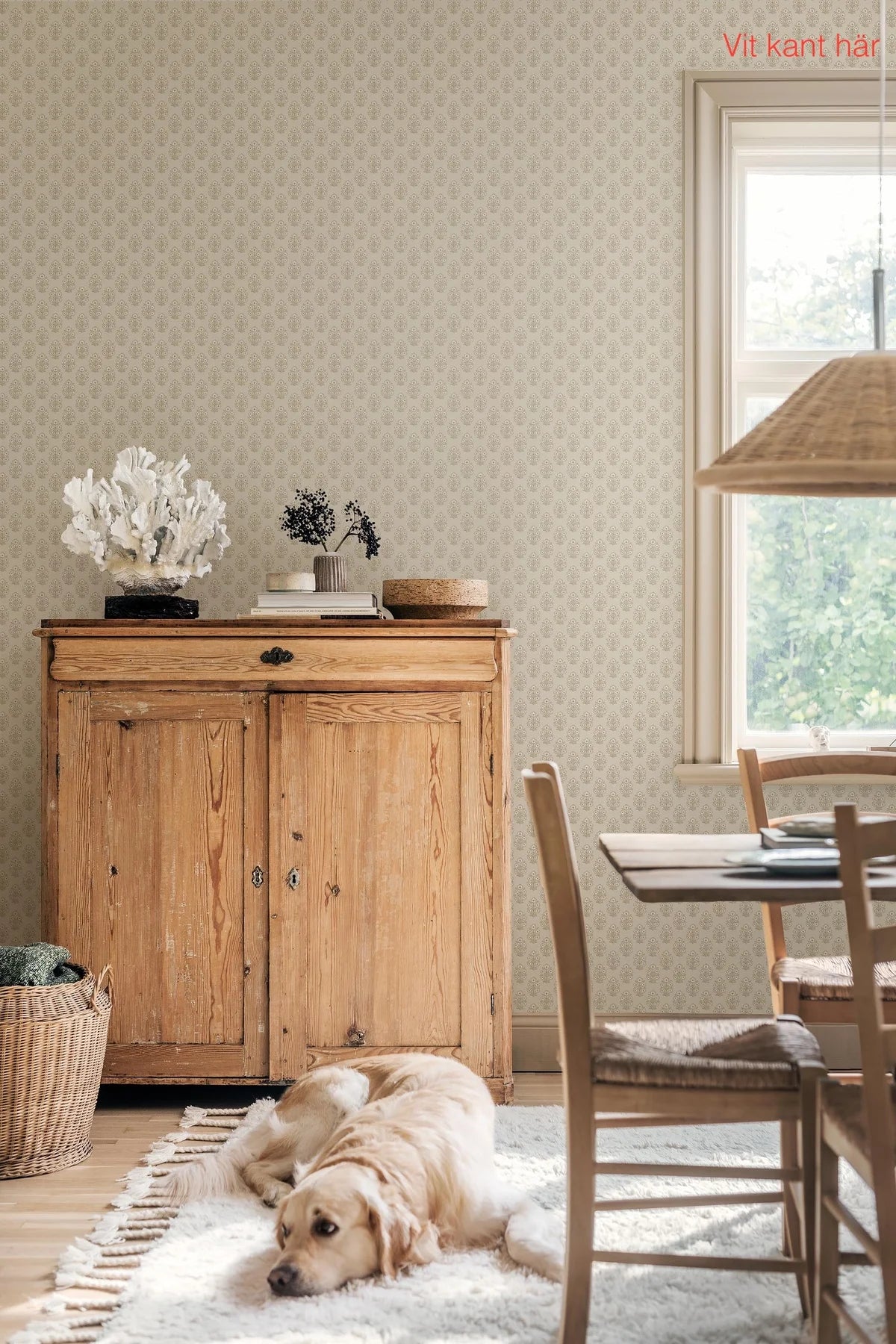 Tapete mit pflanzlichem Blumenmotiv SIBYLLA cremefarben mit beige