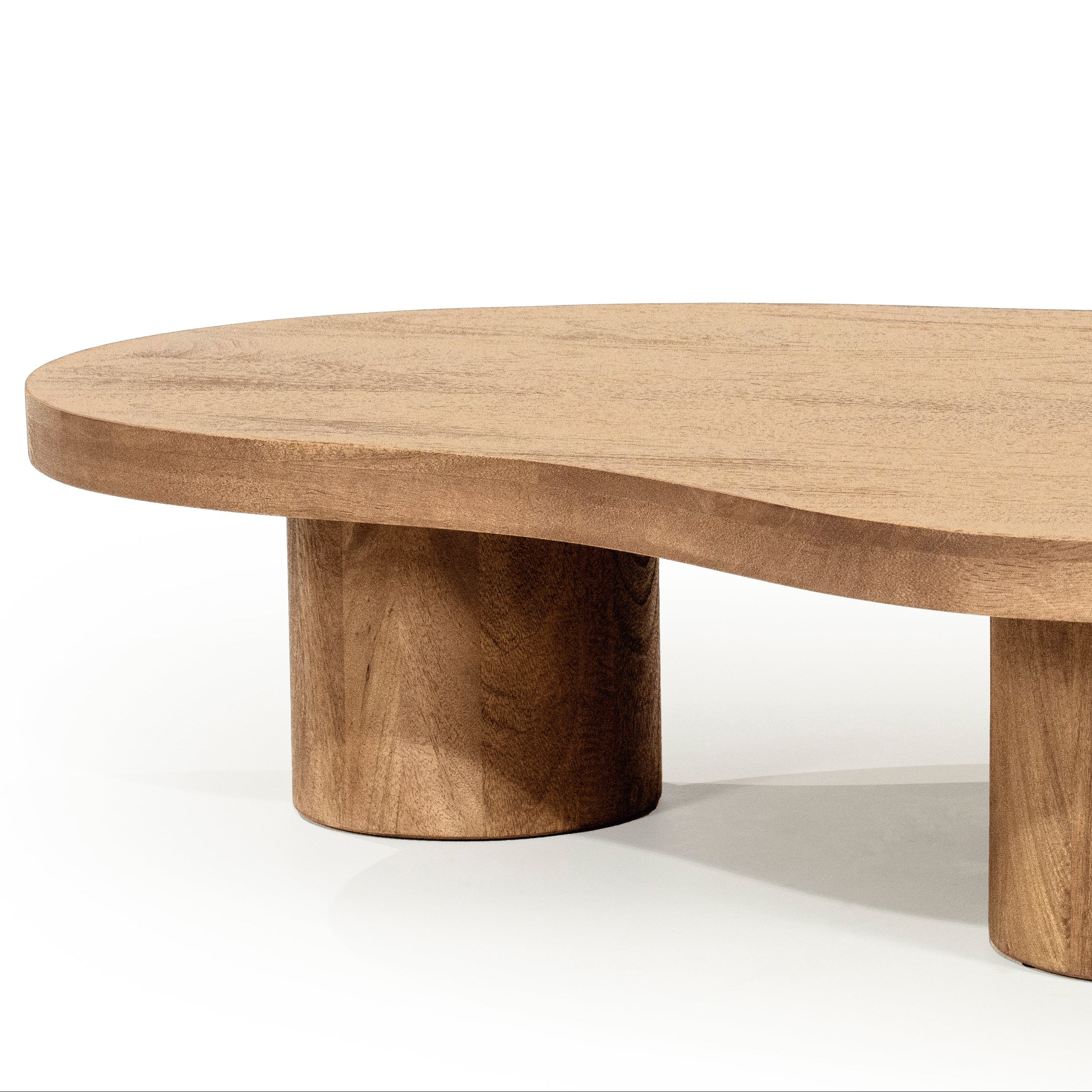 CHARLIE mango wood coffee table