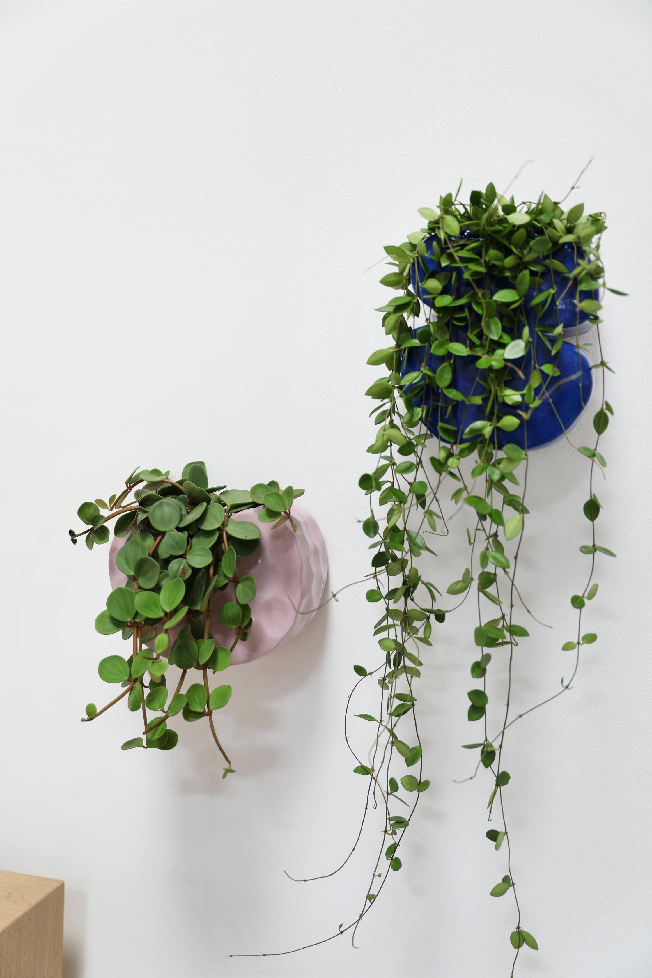 Doniczka ścienna CLAY liliowy